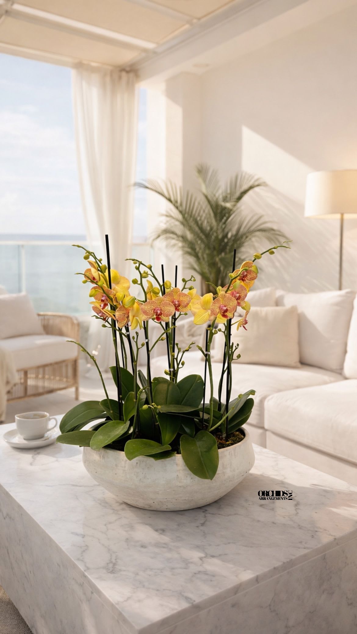 Textural Orchid Miami - This elegant Seven Peach Phalaenopsis Cascade orchid arrangement creates a striking vertical presence, making it ideal for grand interiors and modern living spaces with a vase 16.5" D X 6" T.