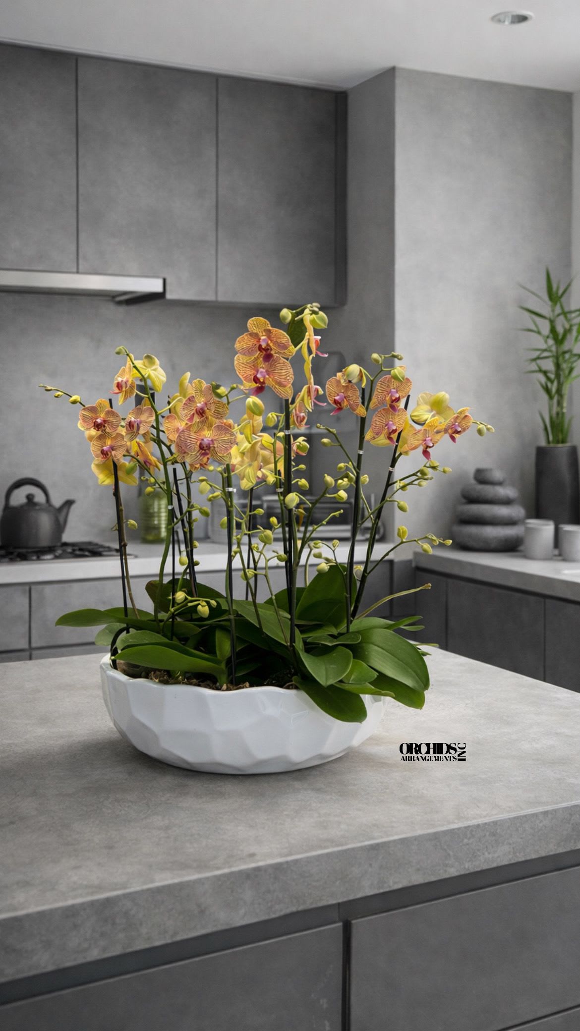 Yellow and pink phalaenopsis orchids in a low white ceramic bowl planter on a modern gray kitchen counter.