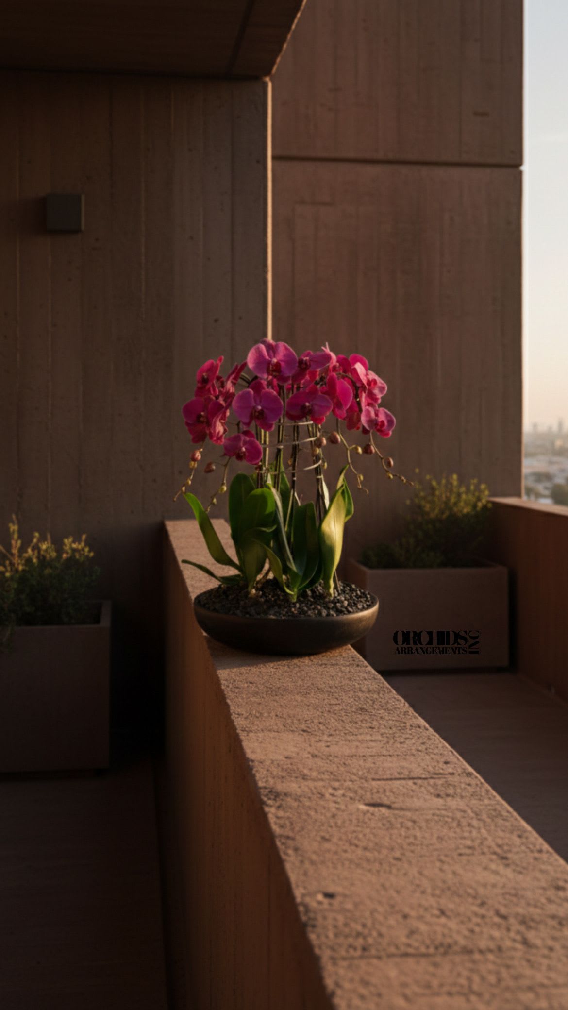 Pink orchid plant in a shallow bowl planter on a ledge