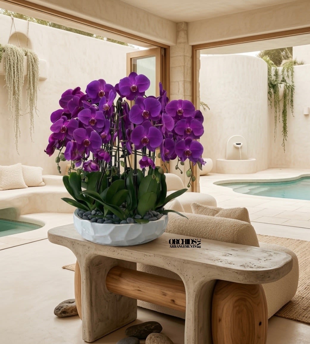 Purple orchid plants in a white bowl with stones on a low table in a modern beige room