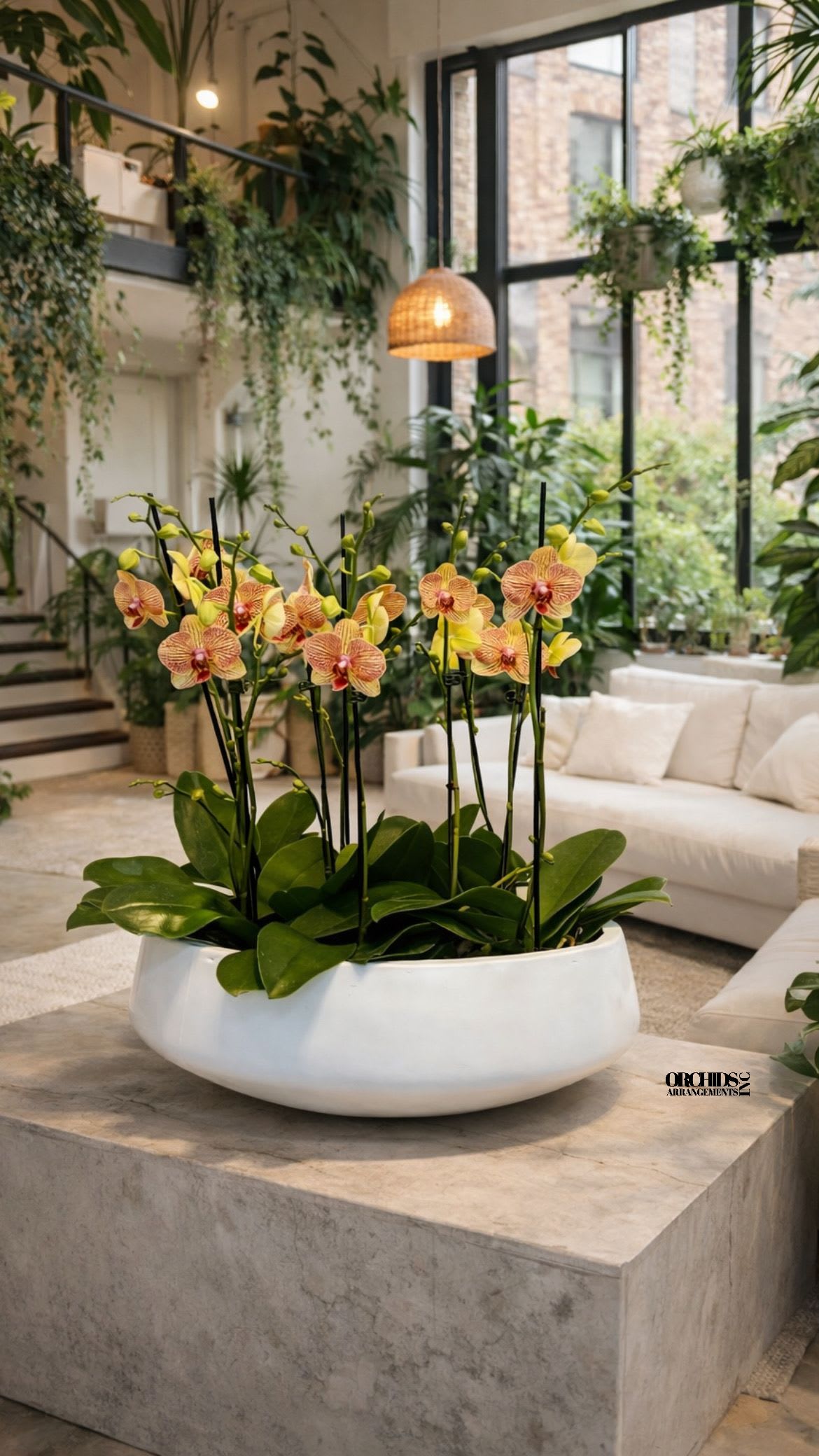 Yellow orchids arranged in a white bowl planter