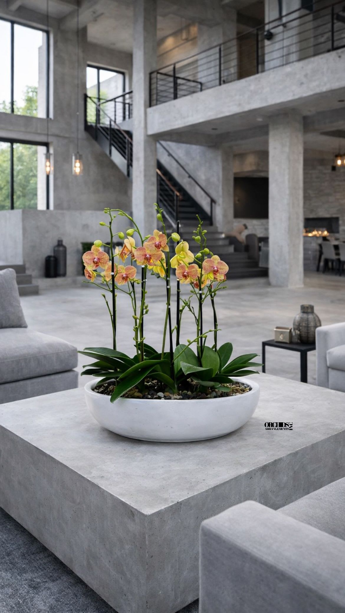 Yellow orchid arrangement in a white bowl planter on a concrete table