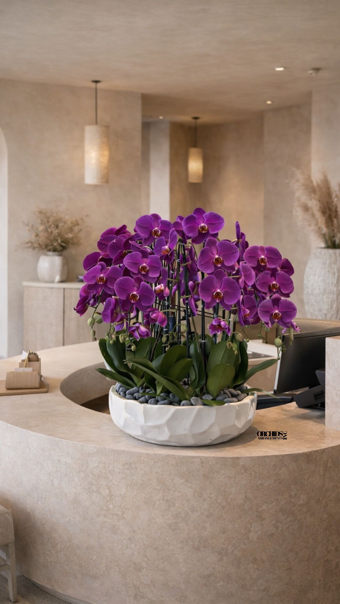 Low white bowl planter filled with multiple purple orchids on a curved reception desk