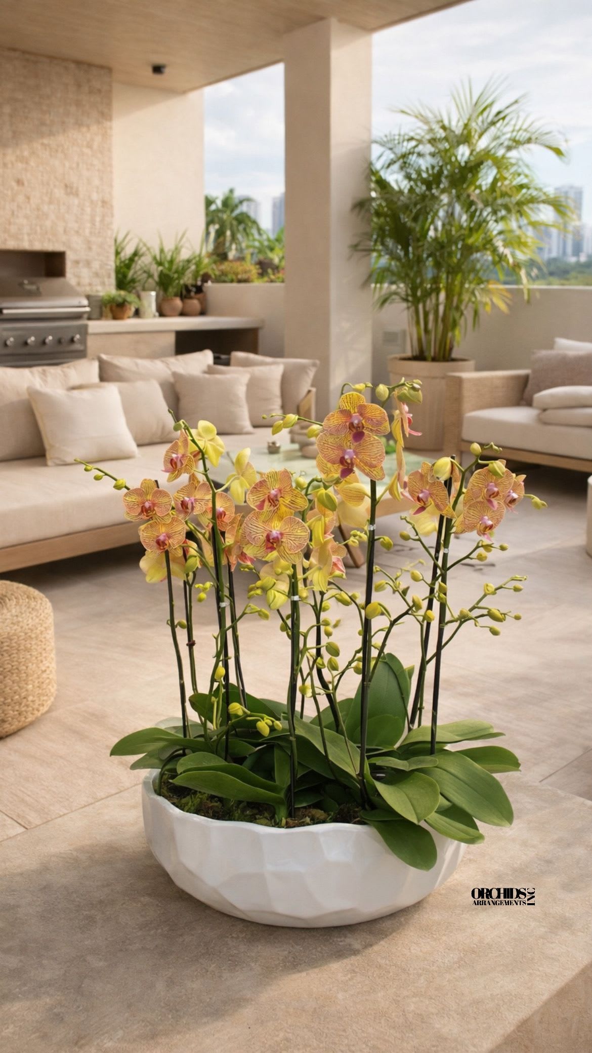 Yellow and pink phalaenopsis orchids planted in a low white ceramic bowl on a modern patio.