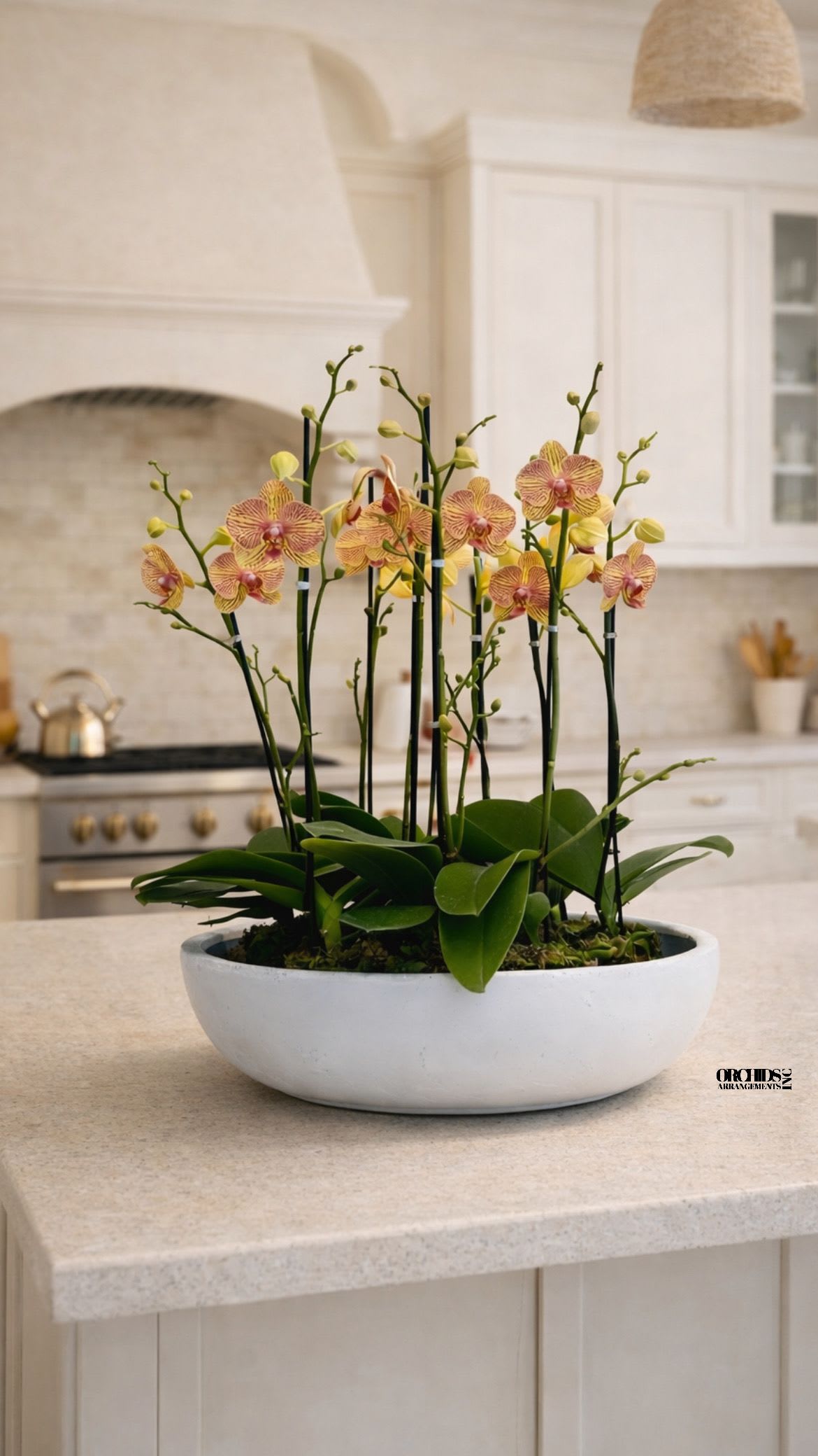 Potted orchid arrangement with pink and yellow blooms in a white bowl planter