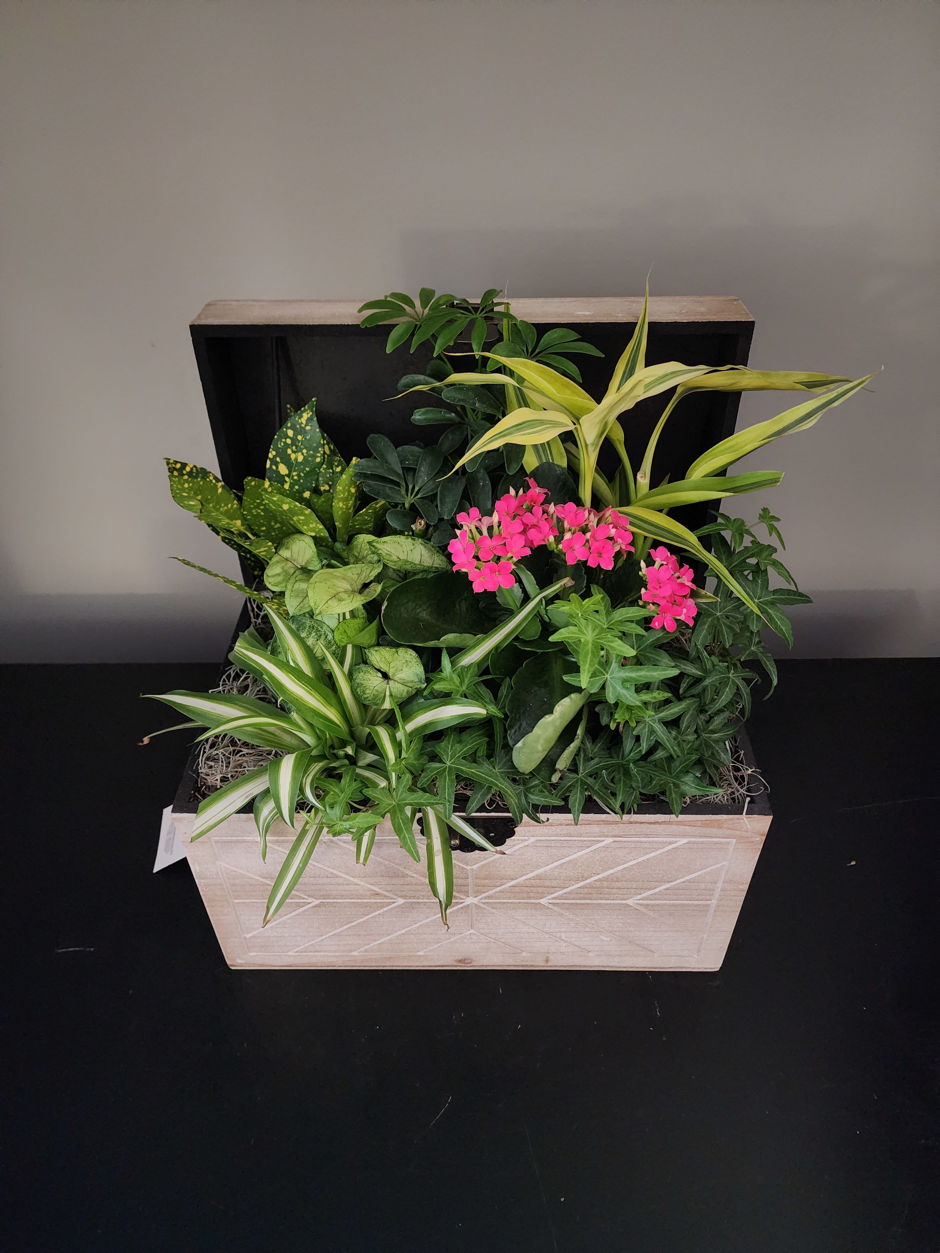 Whitehall Blooming Garden - Blooming Plant Garden   Bring natural beauty indoors with our charming Blooming Plant Garden, thoughtfully designed in a wooden truck style container with a lush assortment of vibrant green plants paired with a beautiful blooming plant for a touch of color. This living arrangement creates a fresh, garden-inspired display that brightens any home, office, or special occasion.  Each Garden is carefully arranged by our designers using a variety of healthy foliage plants and a seasonal flowering plant. Because we select the freshest plants available, plant varieties and bloom colors may vary, making every garden unique and delightful surprise.  Perfect as a gift for birthdays, sympathy, get well wishes, housewarmings, or everyday appreciation, this long-lasting plant garden offers beauty that can be enjoyed for weeks to come.  Product Details:  Designed with assorted green foliage plants and one blooming plant  Plants and bloom colors may vary based on seasonal availability  Basket measures approximately 14" X 8" X 14"   Ideal for home décor, offices, hospitals, or thoughtful gifting  Easy to care for and long-lasting  Send a touch of nature and lasting beauty with this elegant Blooming Plant Garden, a perfect gift for any occasion.