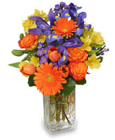 Blooms of Beauty - Blooms of beautiful and bright fresh flowers including gerberas, iris, alstromeria and tulips arranged in a tall clear vase. 
