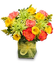 Fresh As April Spring Flowers - 