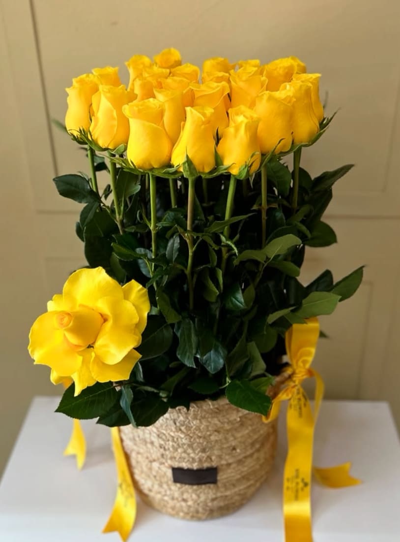 Yellow Roses Basket Arrangement - A stunning yellow rose arrangement in San Antonio featuring fresh premium yellow roses beautifully arranged in an elegant woven basket with decorative ribbon and lush greenery. Handcrafted by Snyder Flowers San Antonio, this bright and cheerful floral design symbolizes friendship, joy, and positivity, making it perfect for birthdays, congratulations, get well wishes, thank you gifts, or special celebrations.   We proudly offer same-day flower delivery in San Antonio with fresh high-quality roses and exceptional customer service.  Elegant floral designs created with premium roses, fresh greenery, and beautiful presentation.  Serving Stone Oak, Medical Center, Alamo Heights, Cibolo, Universal City, Live Oak, Helotes, Castle Hills, Shavano Park, and Downtown San Antonio.  Looking for a trusted florist in San Antonio, same day rose delivery, or yellow roses near you? Snyder Flowers creates fresh handcrafted floral arrangements designed to brighten any day and delivered the same day.