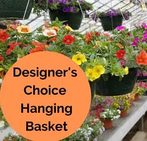 Hanging baskets of colorful flowers in a greenhouse display