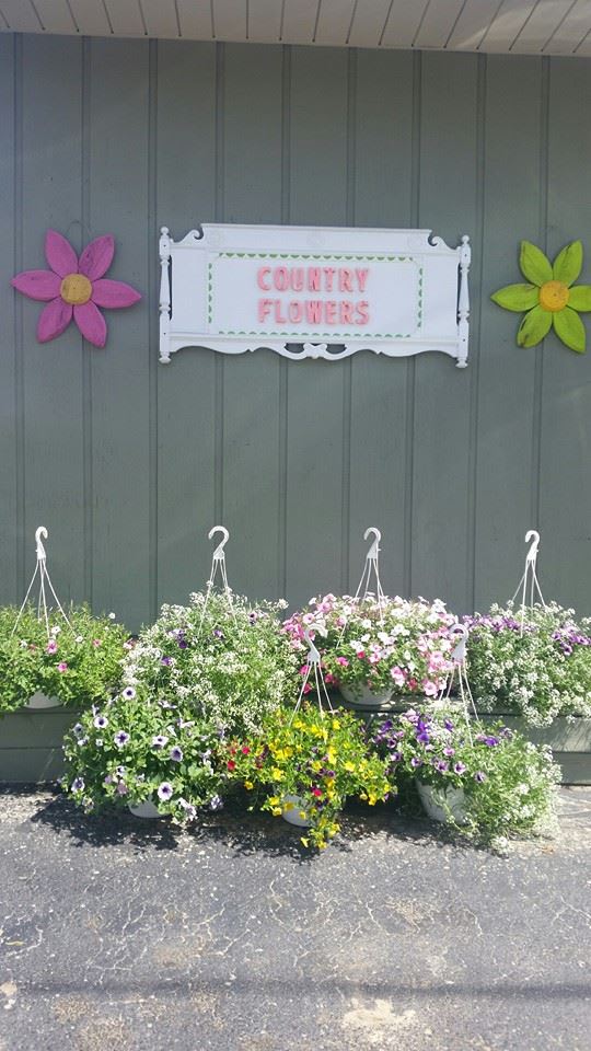 Outdoor display of hanging baskets with mixed flowers beneath a "Country Flowers" sign