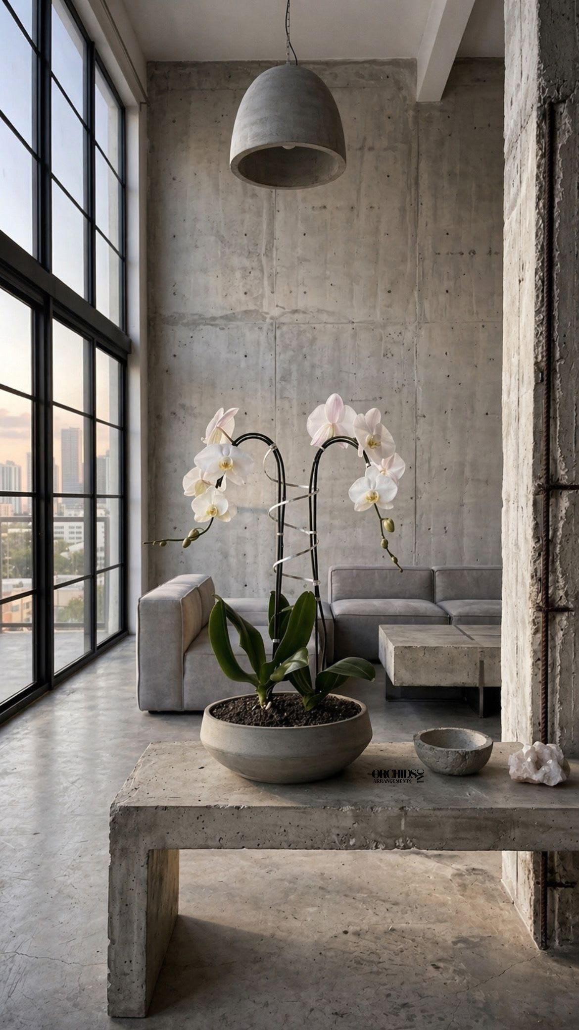 Refurbished Orchid Miami - Same day Delivery Double White Phalaenopsis Orchid With a Vase 13" x 4.5" to Miami, Coral Gables, Miami Beach, Bal Harbour, Sunny Isles Beach, Aventura, South Miami, Pinecrest, Doral, West Miami, Coconut Grove, key Biscayne, North Bay Village... 