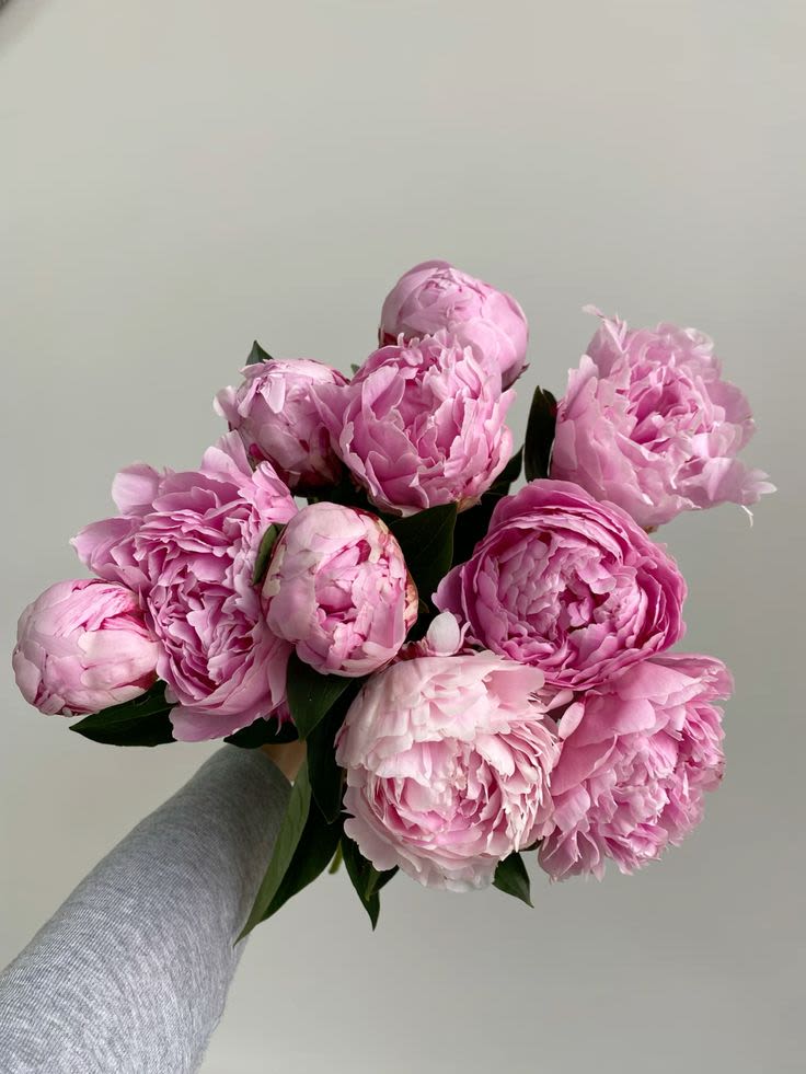 Pink Peonies! - A soft and romantic arrangement featuring lush pink peonies, thoughtfully paired with fresh greenery for a natural, garden-inspired look.This piece highlights the beauty of each bloom, full, delicate, and effortlessly elegant. Perfect for celebrating special moments or adding a touch of timeless charm to any space.