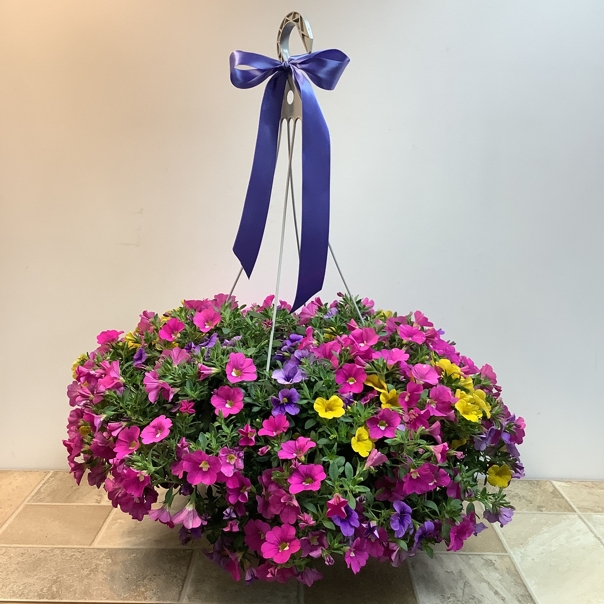 Million Bells Hanging Basket - This is a lush, full hanging basket of calibrachoa (often called “million bells”), overflowing with small, petunia-like blooms. The flowers form a dense, rounded mound that gently cascades over the edges, creating a soft, trailing effect. The color mix is especially vibrant and cheerful, featuring shades of bright pink, magenta, purple, and sunny yellow scattered evenly throughout the foliage. The small green leaves provide a rich backdrop, making the blooms stand out vividly. Overall, it has a lively, garden-fresh look—perfect for brightening a porch, patio, or entryway with continuous seasonal color. It prefers bright sunlight. . 