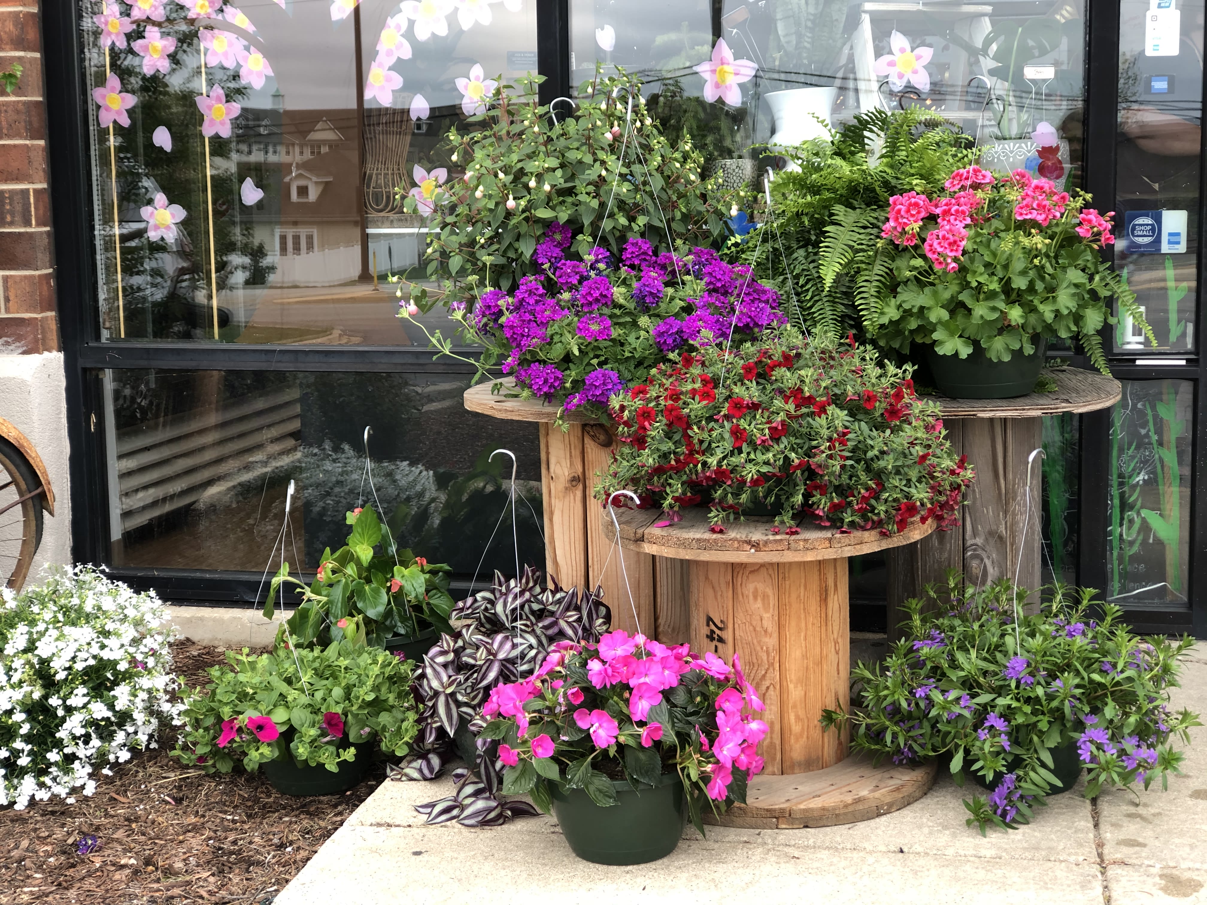 Potted flowering plants arranged on wooden spool tables outside a shop