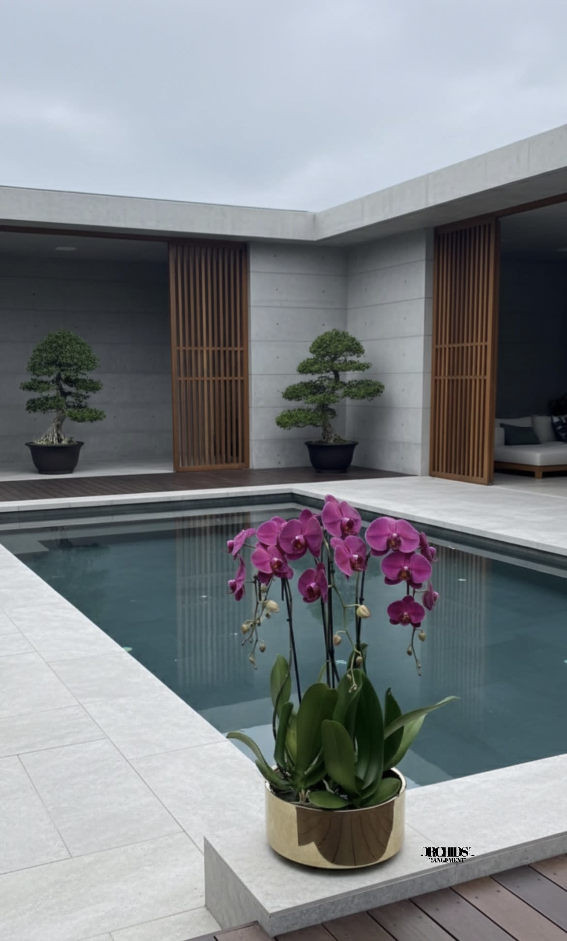 Pink orchid plant in a gold pot beside a modern pool