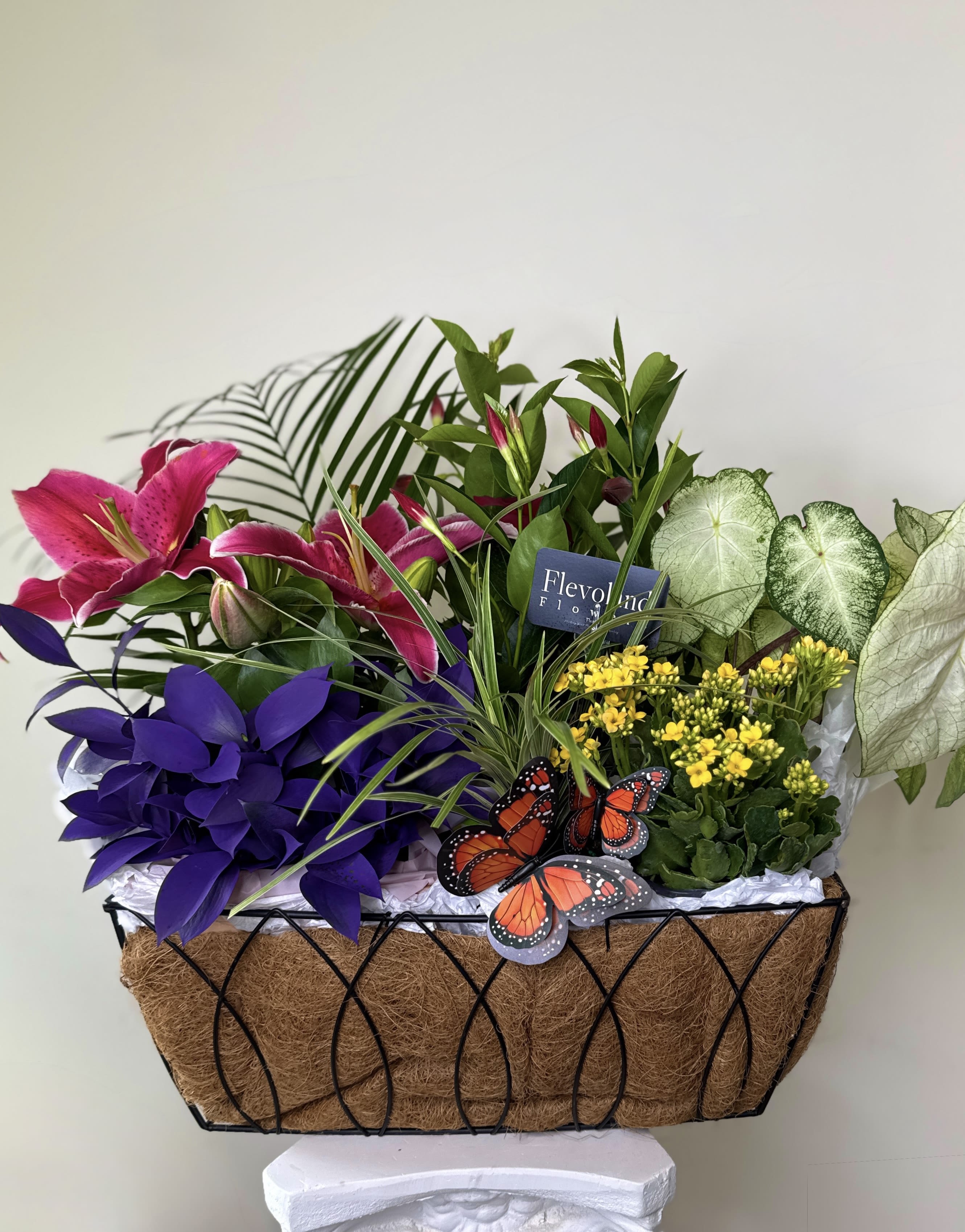 Something That Lasts - Not flowers  something that stays something that grows  this design features a curated selection of live plants for planting created with intention and designed to evolve over time  a meaningful alternative for those who want more than a moment  each arrangement is unique (plants and basket may vary based on availability) the image shown is Deluxe size.