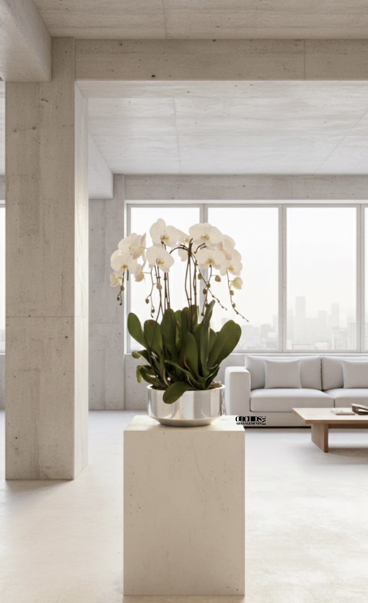White orchid plant in a metallic pot on a pedestal