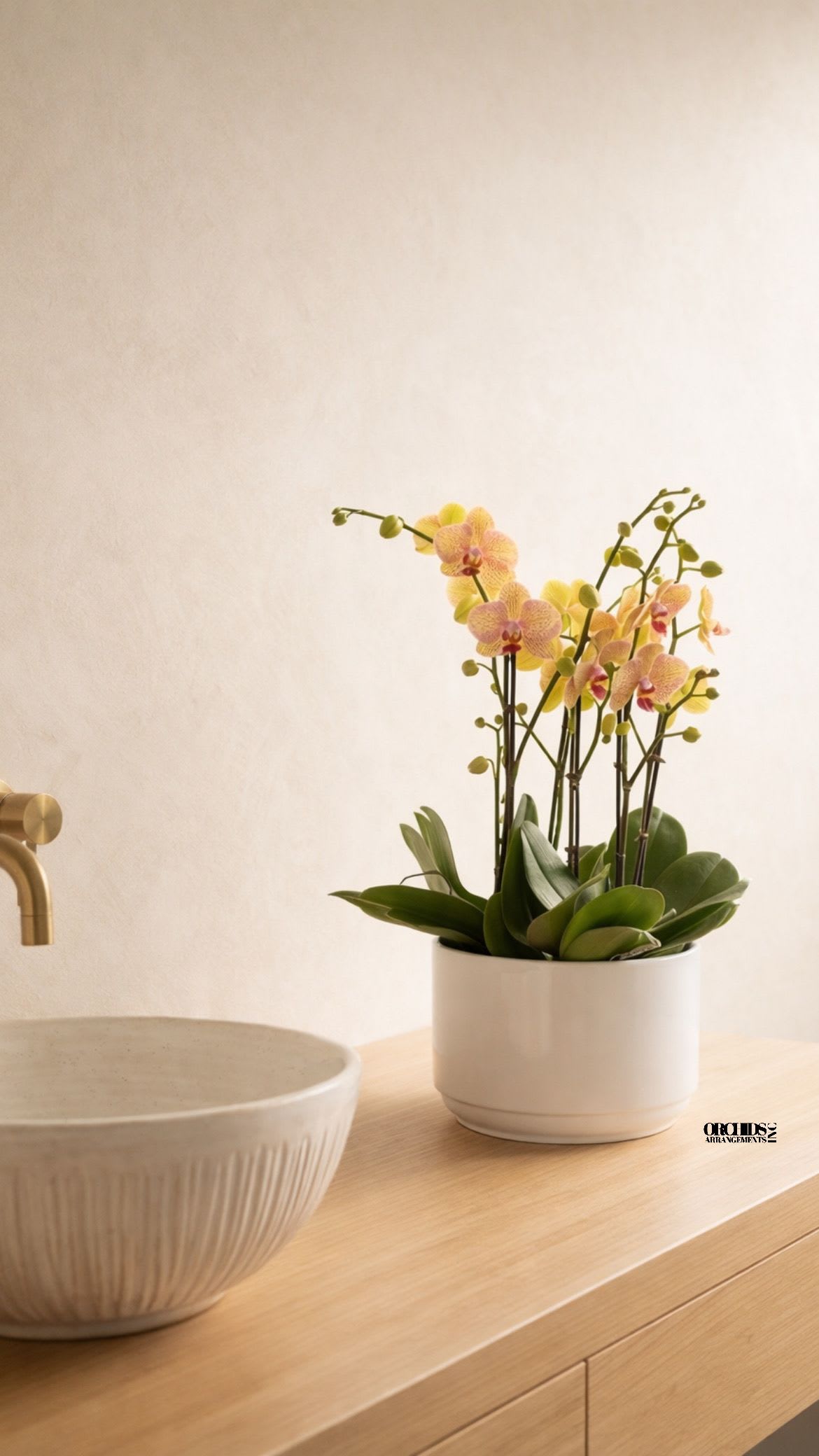 Phalaenopsis Orchid Miami - Same day Delivery Six Peach Phalaenopsis Orchid With a Vase 9.5" x 6.5" to Miami, Coral Gables, Miami Beach, Bal Harbour, Sunny Isles Beach, Aventura, South Miami, Pinecrest, Doral, West Miami, Coconut Grove, key Biscayne, North Bay Village... 