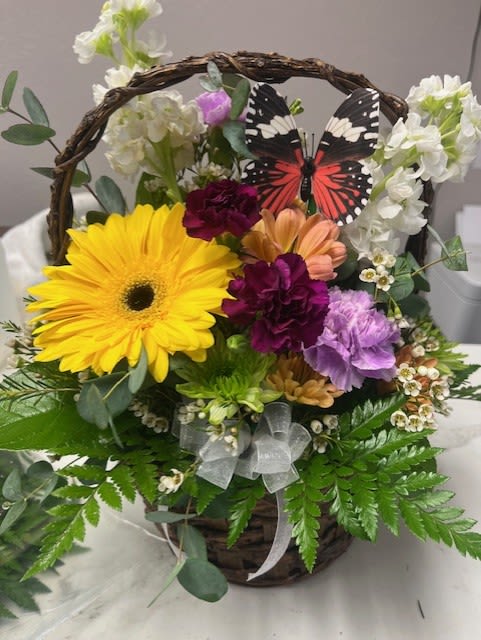 Butterfly gerbera basket - A cute basket full of color! This will make anyone smile! Colors will vary! 