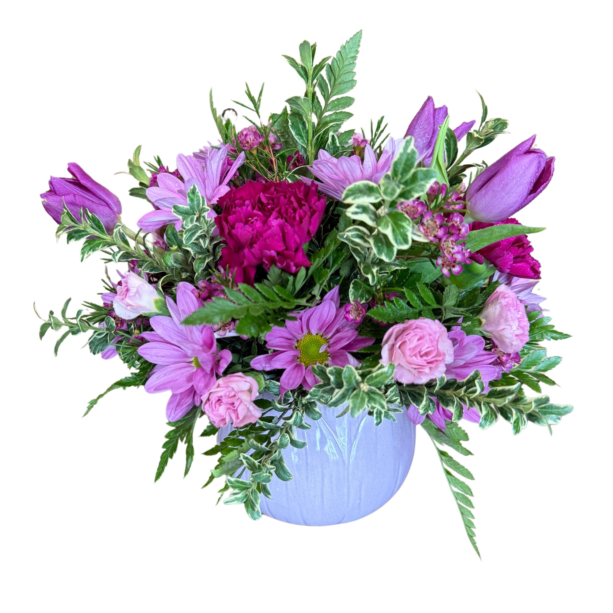 Tulip Days  - Beautiful keepsake tulip pot that is filled with delightful blooms!   *pot will be purple, yellow, green or pink* 
