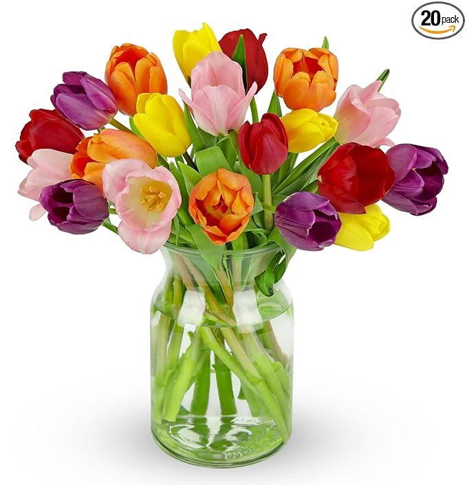 Spring Tulips  - A lively burst of mixed-color tulips designed to brighten any spring celebration - this flower arrangement is a cheerful choice for a birthday bouquet, a thank-you gift, or an everyday surprise. The mix of pink, purple, yellow, orange and bright red tulips opens at varied stages to create a layered, textured look that reads fresh and joyful; the recipient will feel genuinely celebrated by its saturated, uplifting presence.  Tightly gathered in a simple clear glass vase, the long green stems show through for a clean, modern silhouette that keeps the focus on the blooms. The arrangement emphasizes vibrant color and natural shape: petals range from gently cupped to fully open, giving visual movement and a soft, tactile appeal. Size and stem length make it right for a tabletop, mantel, or entry console where the colors can catch the light.  Perfect for springtime gestures - from saying thanks to marking a birthday - these tulips send an immediate message of warmth and renewal. Arrange on arrival with fresh water; replace vase water every two days and trim stems slightly to prolong bloom life.