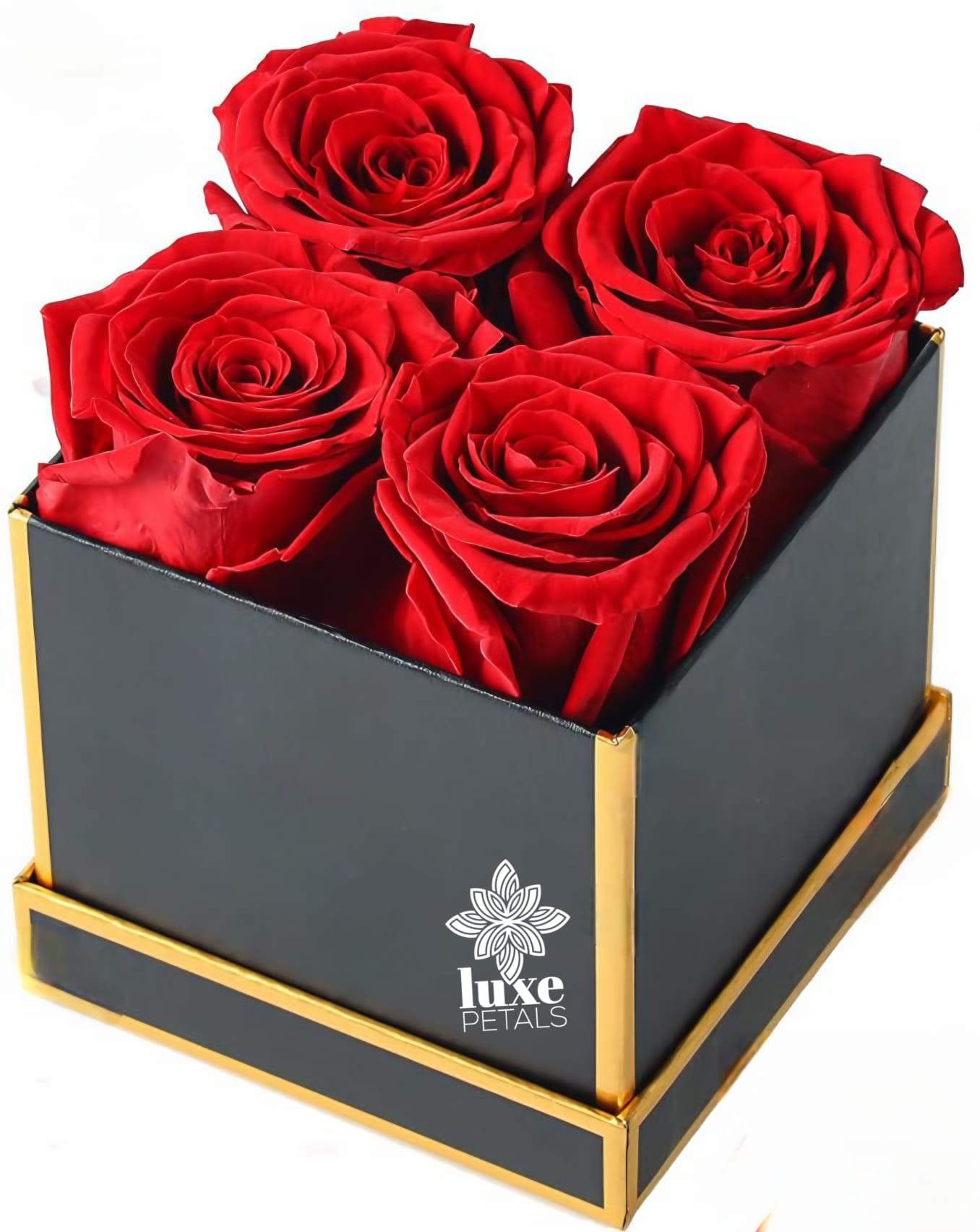 Eternal Roses x 4  - Four large red roses set in a sleek square black gift box with gold edging create an instant statement-perfect as a romantic anniversary bouquet, a birthday surprise for a loved one, or a thank-you that feels truly luxurious. The rich, velvety crimson petals packed tightly together give a full, polished look that reads intimate and upscale;   Each arrangement includes four preserved roses presented low in a compact box with metal accents, designed to sit proudly on a bedside table or desk without taking up much space. The presentation is intentionally minimalist-no extra foliage-so the blooms remain the focus; they arrive ready to display and require no watering. Choose this arrangement when you want the person you're thinking of to feel cherished, seen, and remembered.