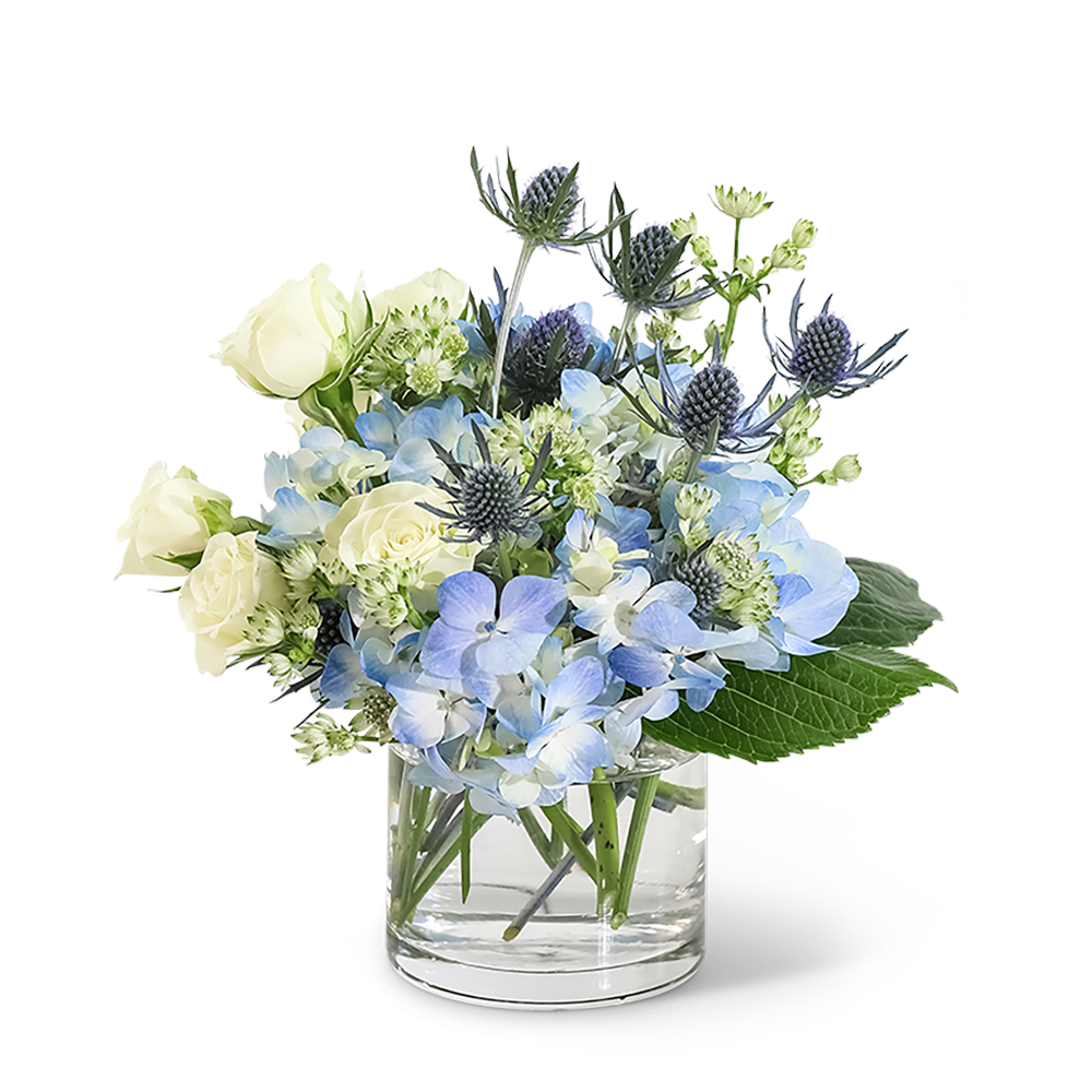 Fresh Start - We all need a Fresh Start now and then, and who doesn't love to receive flowers? Fresh Start features long-lasting white spray roses, blue hydrangea, astrantia, and blue eryngium. Send Fresh Start for the perfect birthday, get well, or anniversary gift to make your loved one feel appreciated.