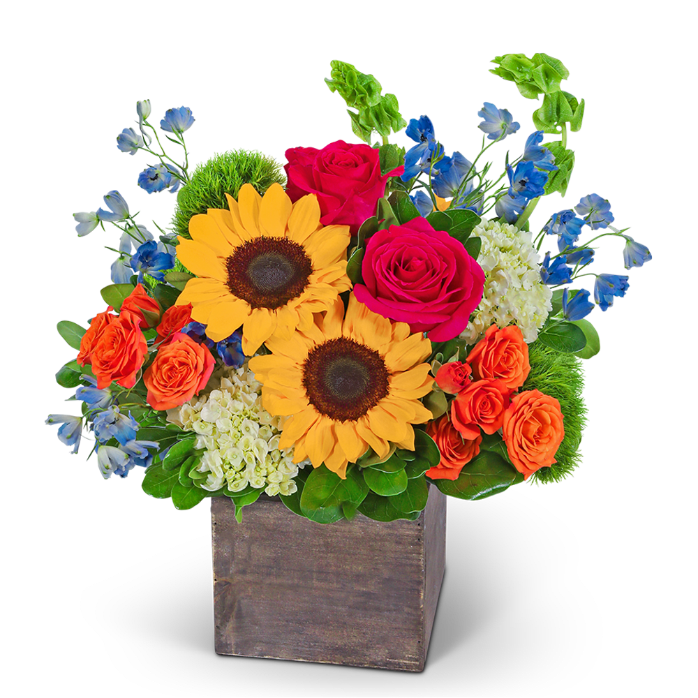 Havana Paradise - Experience the vibrance of our Havana Paradise flower design, an explosion of bright, bold colors that will infuse any space with energy and joy. This exuberant arrangement showcases a kaleidoscope of hues from the rainbow, featuring a mix of sunflowers, roses, hydrangeas, delphiniums, bells of Ireland, green trick dianthus, and lush foliage. Perfect for birthdays, anniversaries, or any occasion that calls for a burst of joy, the Havana Paradise flower design is a show-stopping gift that will leave a lasting impression.