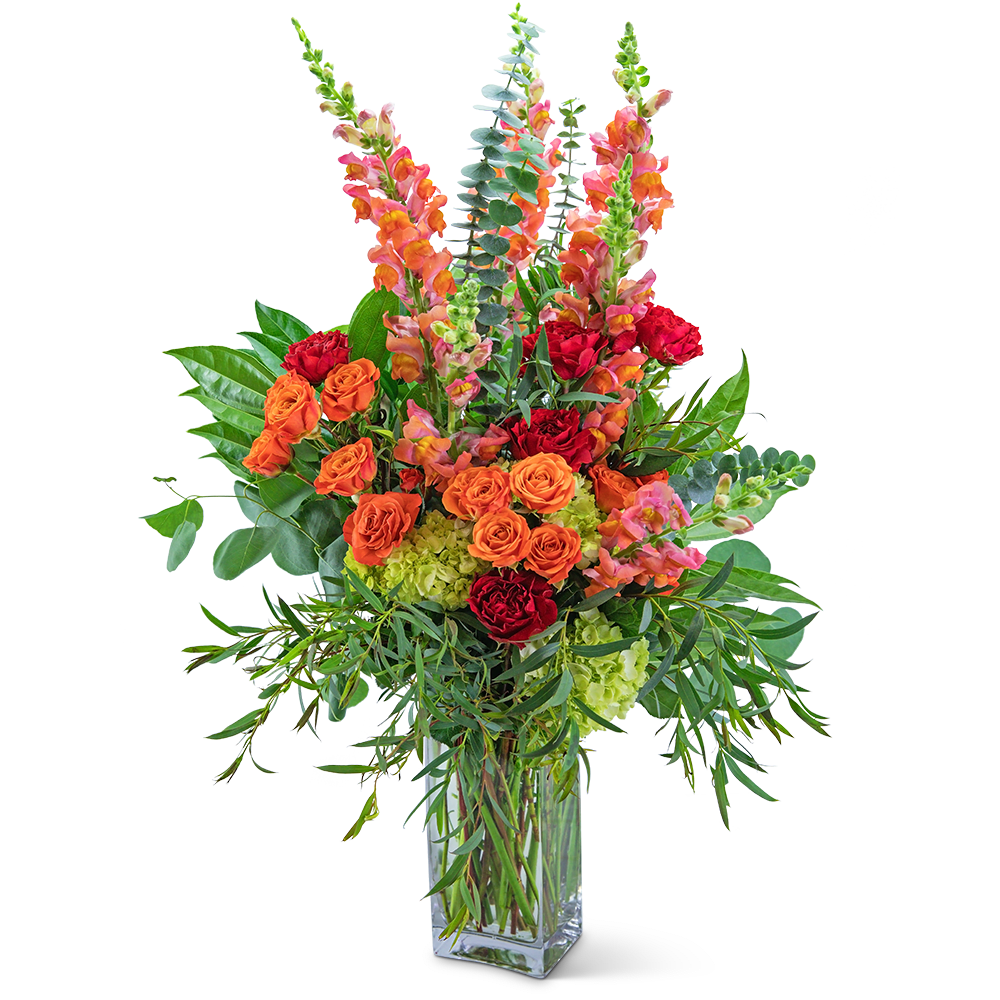 Aspen Magic - The vibrant reds, oranges, and pinks of this bouquet capture the magic of a fall day. Aspen Magic features roses, snapdragons, hydrangea, eucalyptus and parvifolia in a tall clear vase. This stunning arrangement will make quite an impression on any entryway or dining room table. 