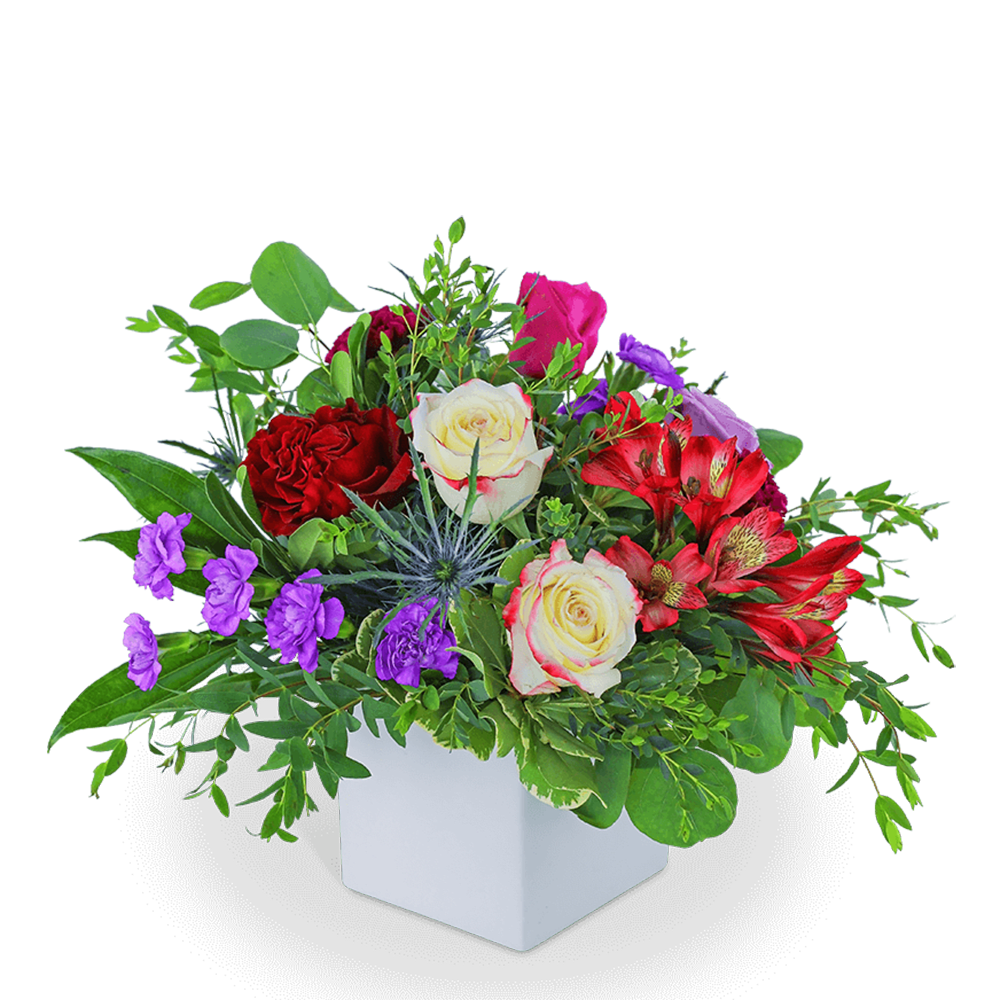 Mixed bouquet of roses, alstroemeria, and purple flowers in a white cube vase
