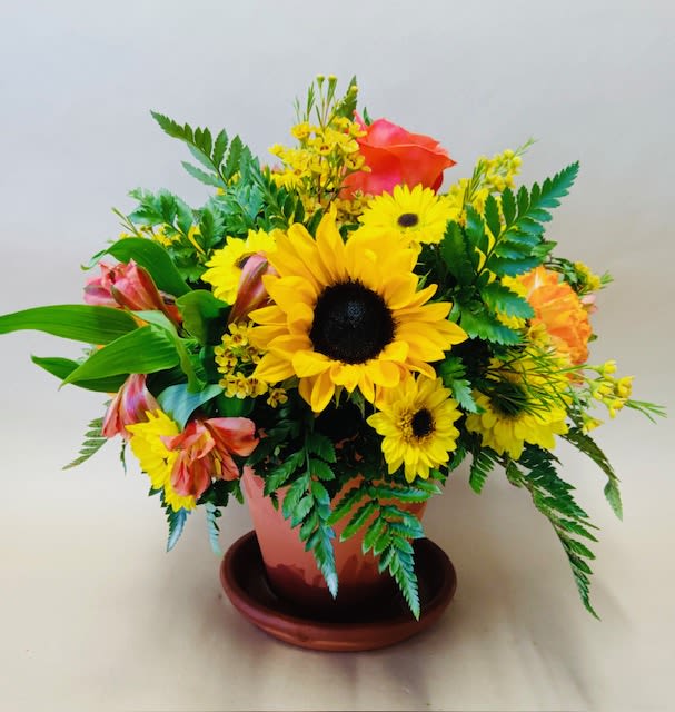 Mixed bouquet with sunflowers and orange roses in a terracotta pot