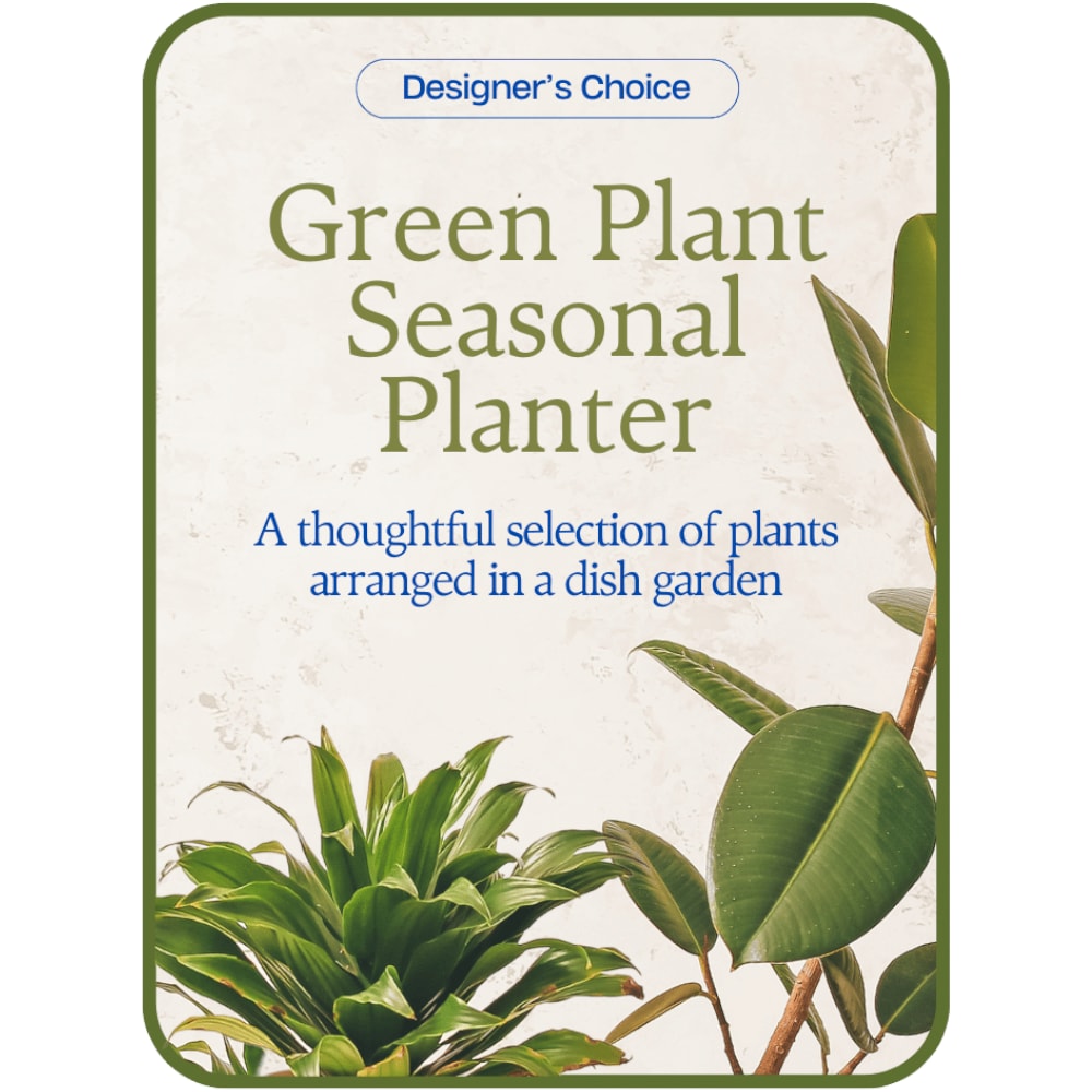 Designer's Choice - Variety of Green Plants - Let us design the perfect, seasonal planter for you! Our shop creates custom flower and plant designs to meet your specifications for a special sentiment or occasion. 