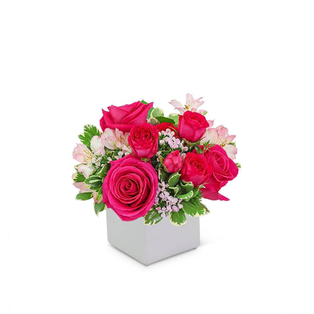 Pretty Posh - If you’re looking for an easy way to brighten someone’s day, this is it! Pretty Posh has a combination of bright pink roses, alstroemeria, and beautiful fresh foliage in a white vase. This chic bouquet will light up any room or space and is the perfect gift for any occasion.