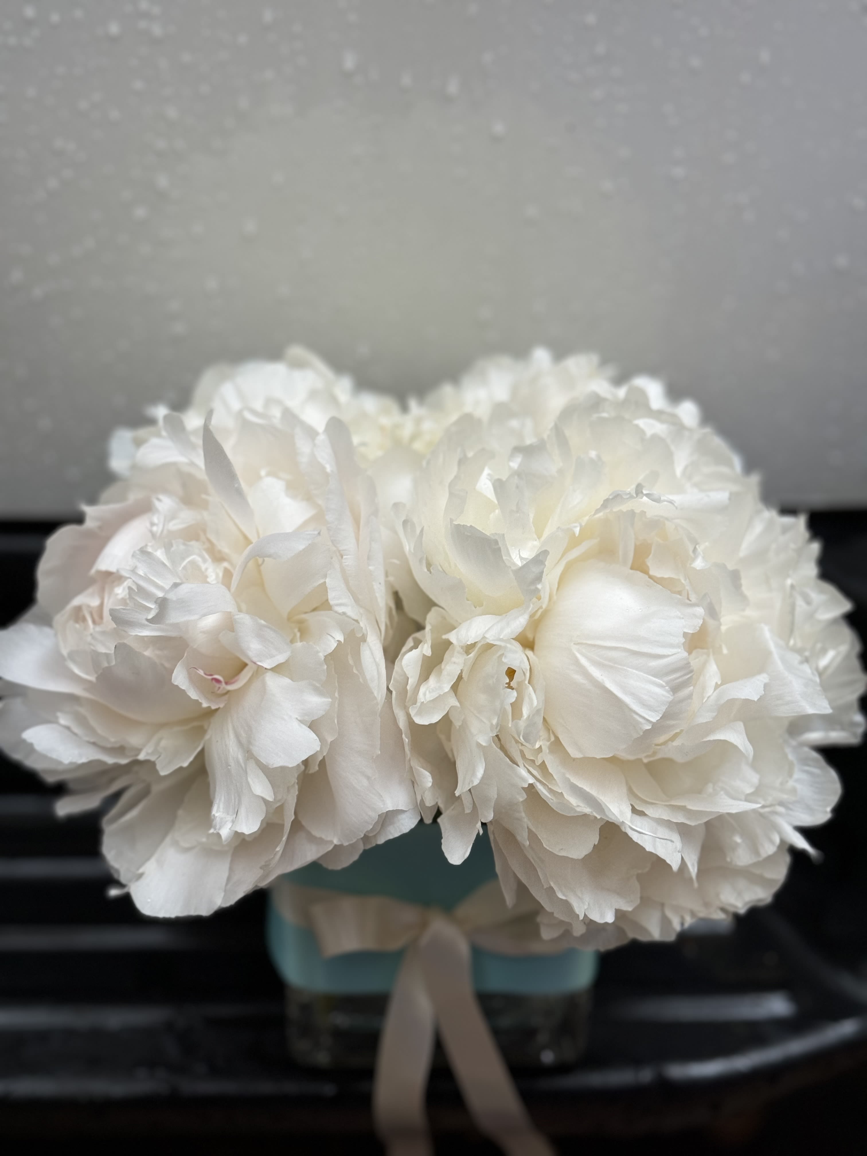 White peony bouquet in a small blue box with a ribbon