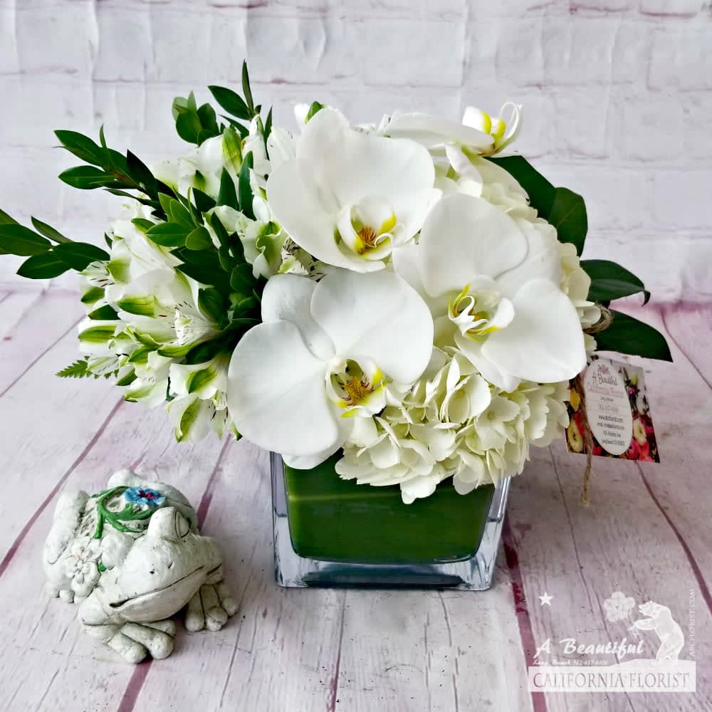 Serenity in White - Serenity - "The state of being calm, peaceful, and untroubled." This beautiful compact arrangement in white and green, white hydrangeas, alstroemeria, orchid blooms, accent of myrtle and lush greens. Comes arranged in a modern clear cube vase.  