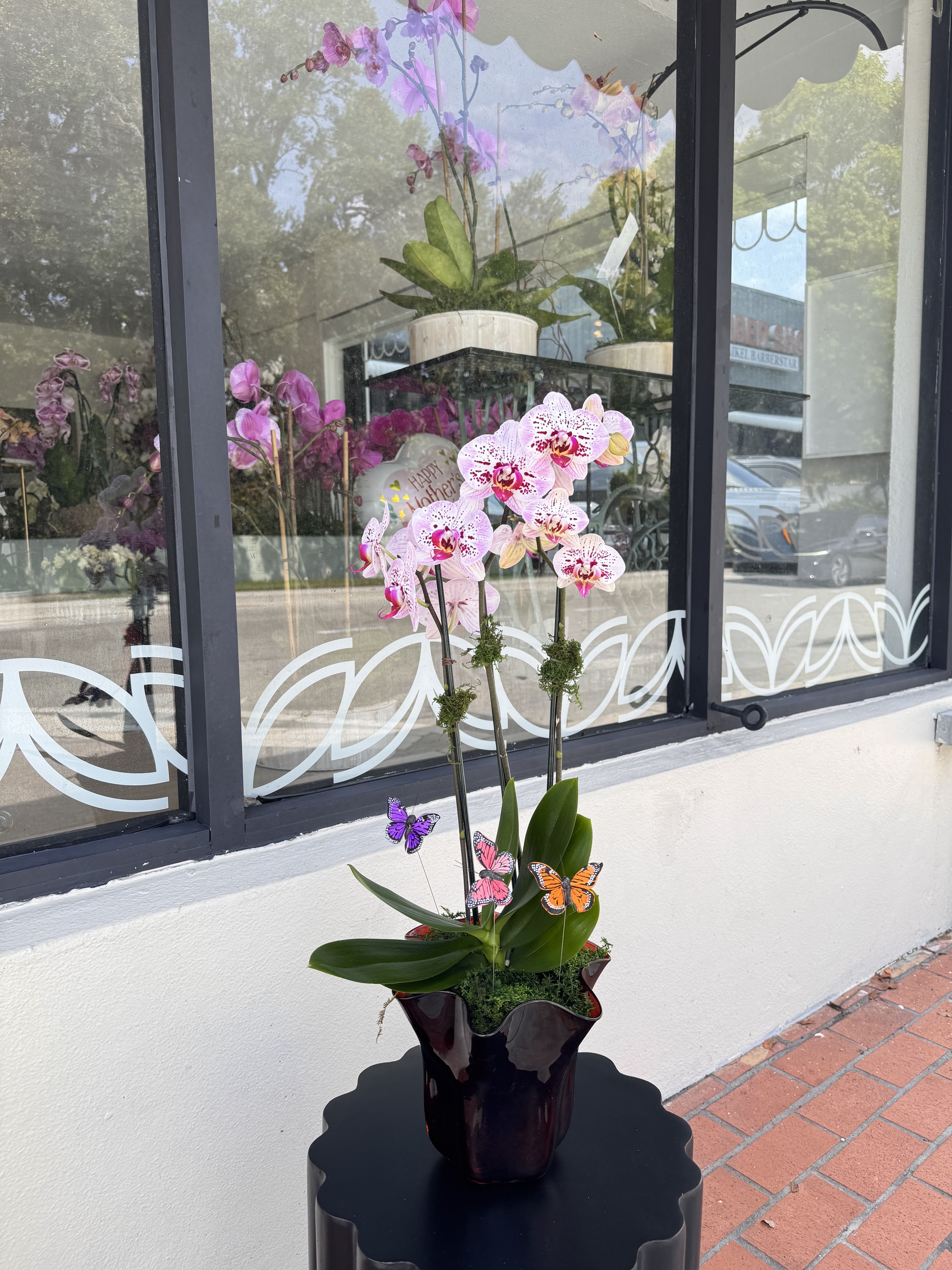 Mother’s Day Special #1 - Flower size, shape and color will vary depending on availability and blooming cycle.