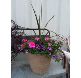 Tan planter with pink and purple flowering plants and tall green spikes arranged outdoors