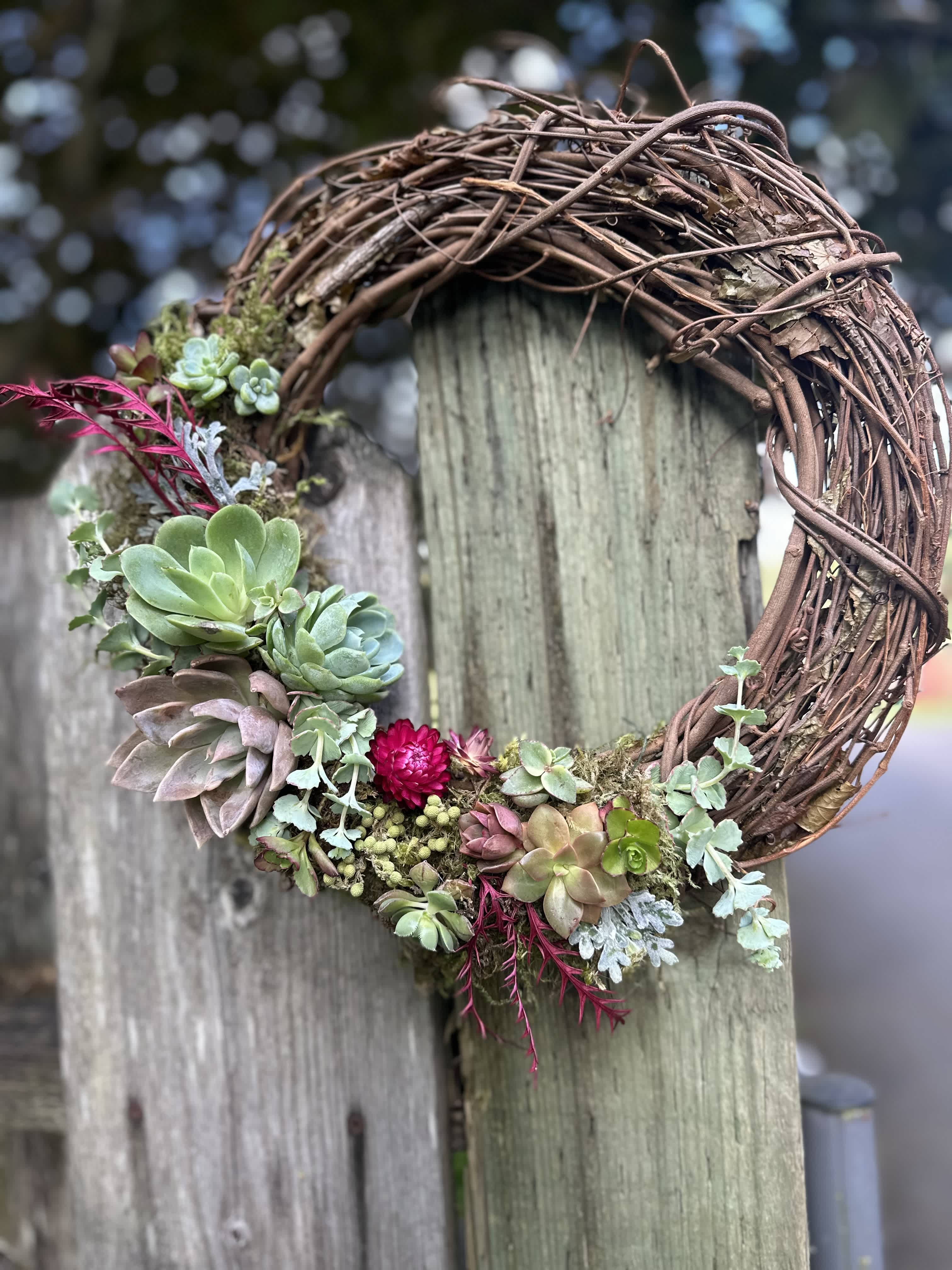 Succulent grapevine wreath  - Add style and a garden look to your entry or patio with a 14” grapevine wreath with live succulents and dried accents 
