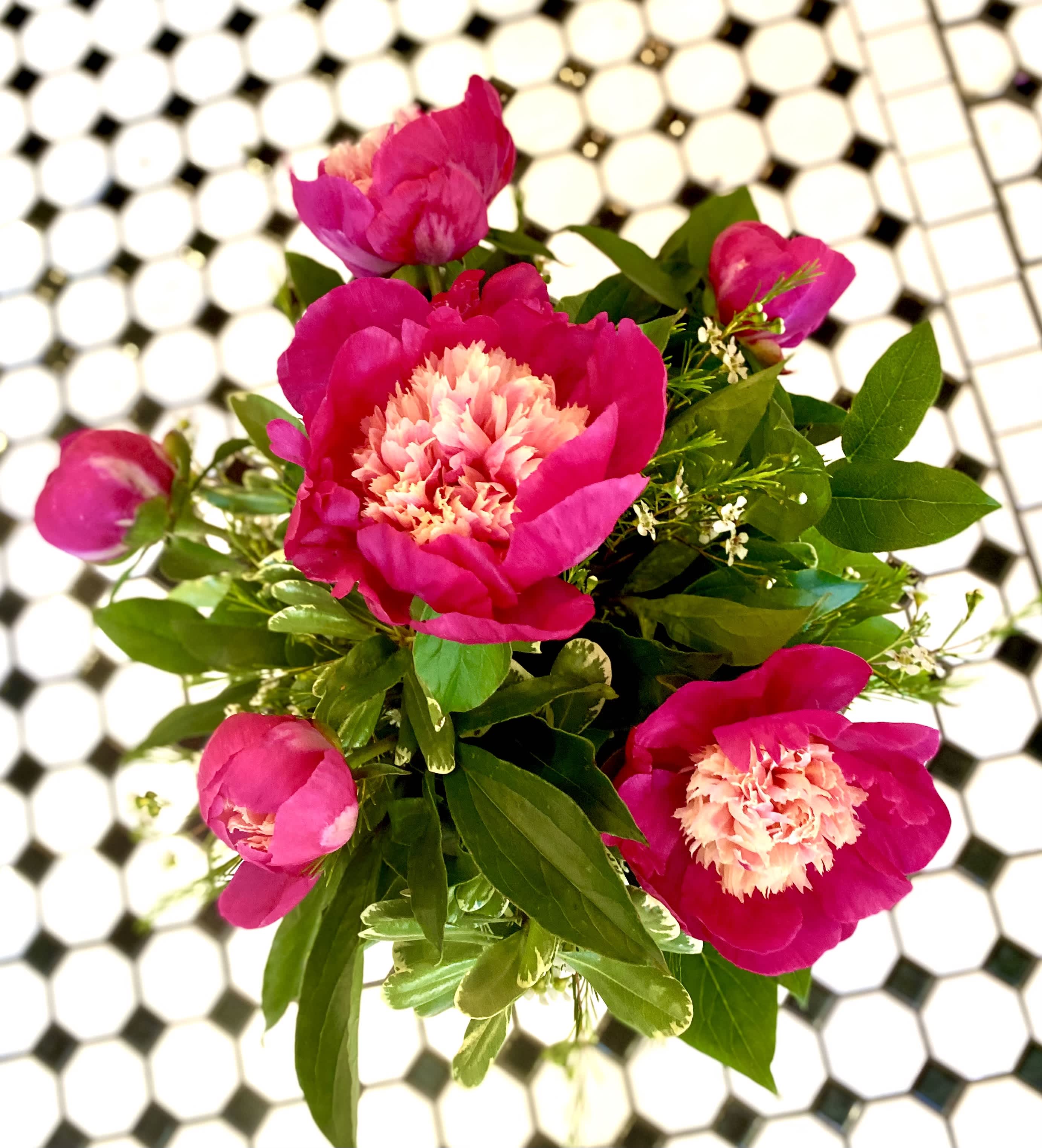 Pink peony bouquet with green foliage on a tiled surface