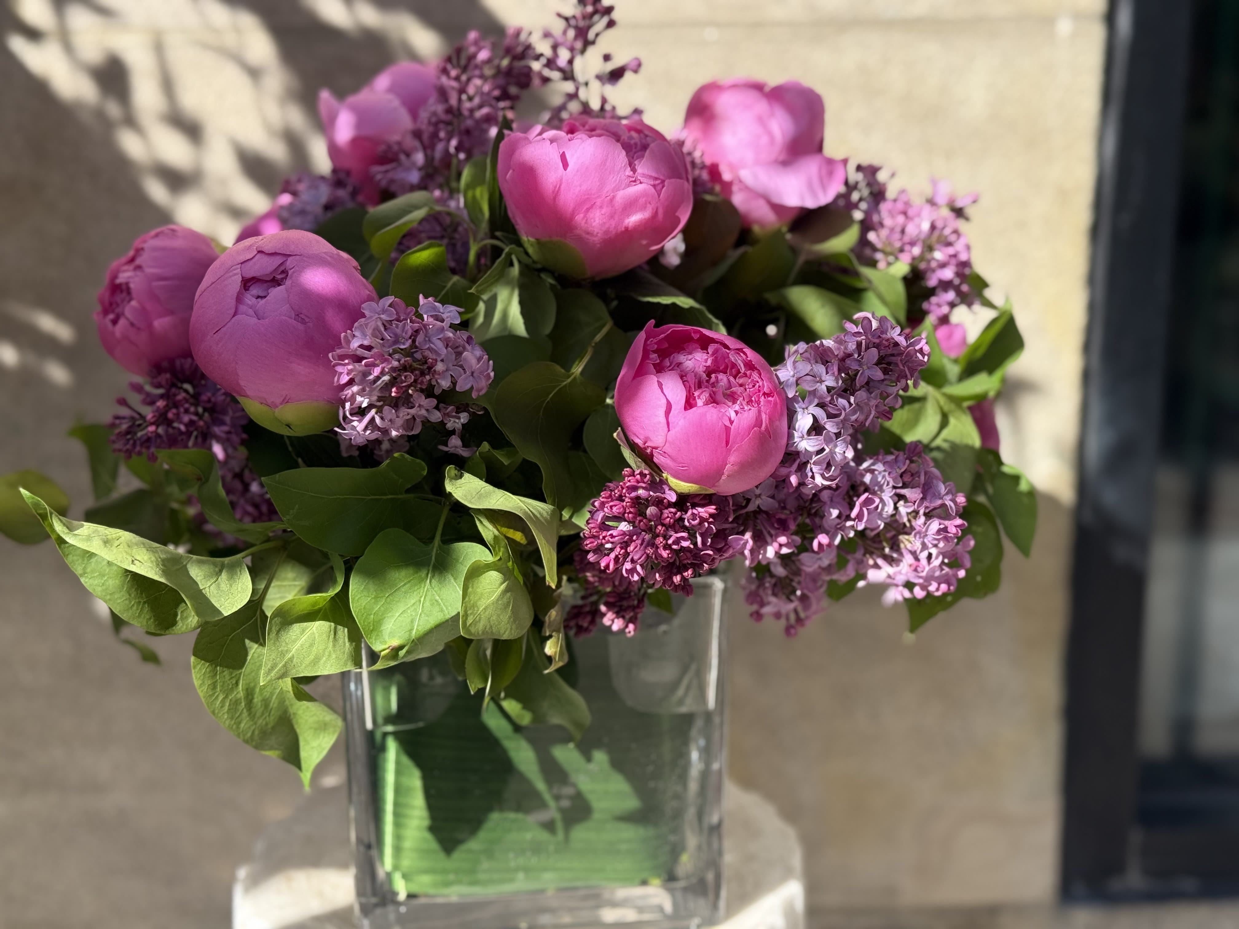 Jules Elie Mama!!! - Get ready to be amazed! We present to you a stunning collection of a 12,18 and 24 stems  Jules Elie peonies from the enchanting Southern Italy, perfectly complemented by the vibrant Vermont lilacs. This exquisite arrangement is crafted in a chic square format of 6x6 inches, making it a delightful addition to any space!