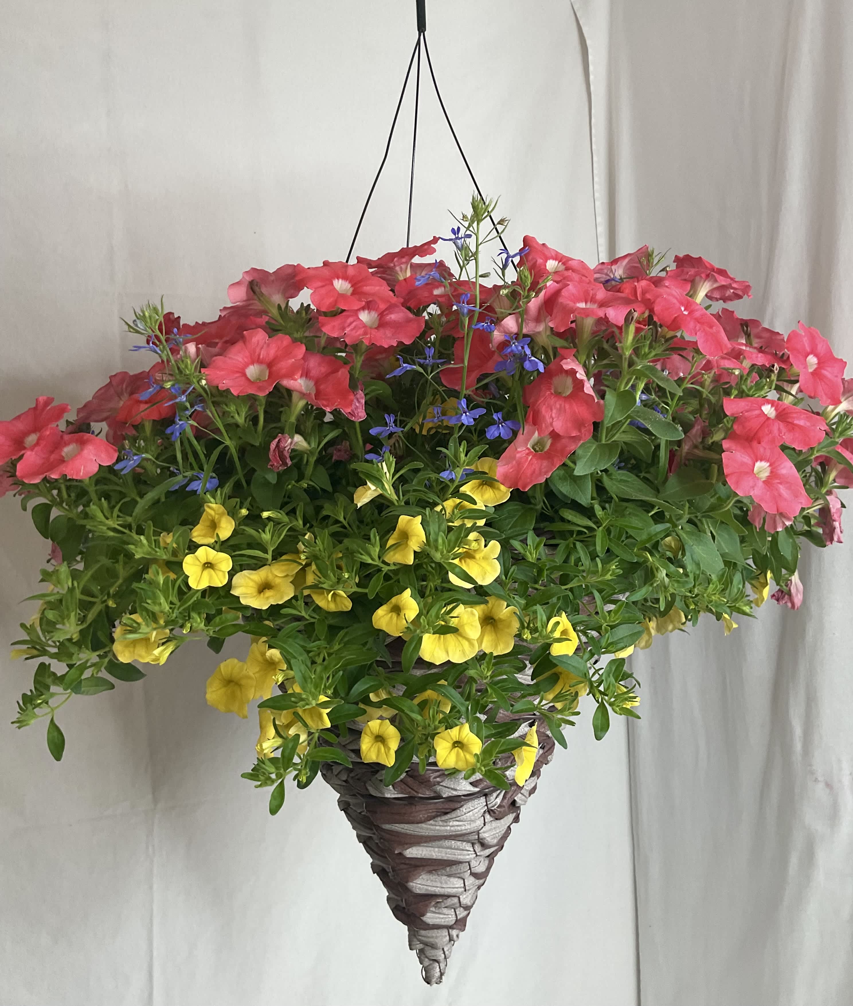 Hanging basket of pink and yellow flowers with small blue accents