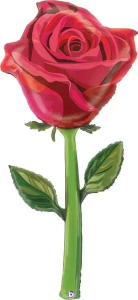 Single pink rose with a long green stem and leaves