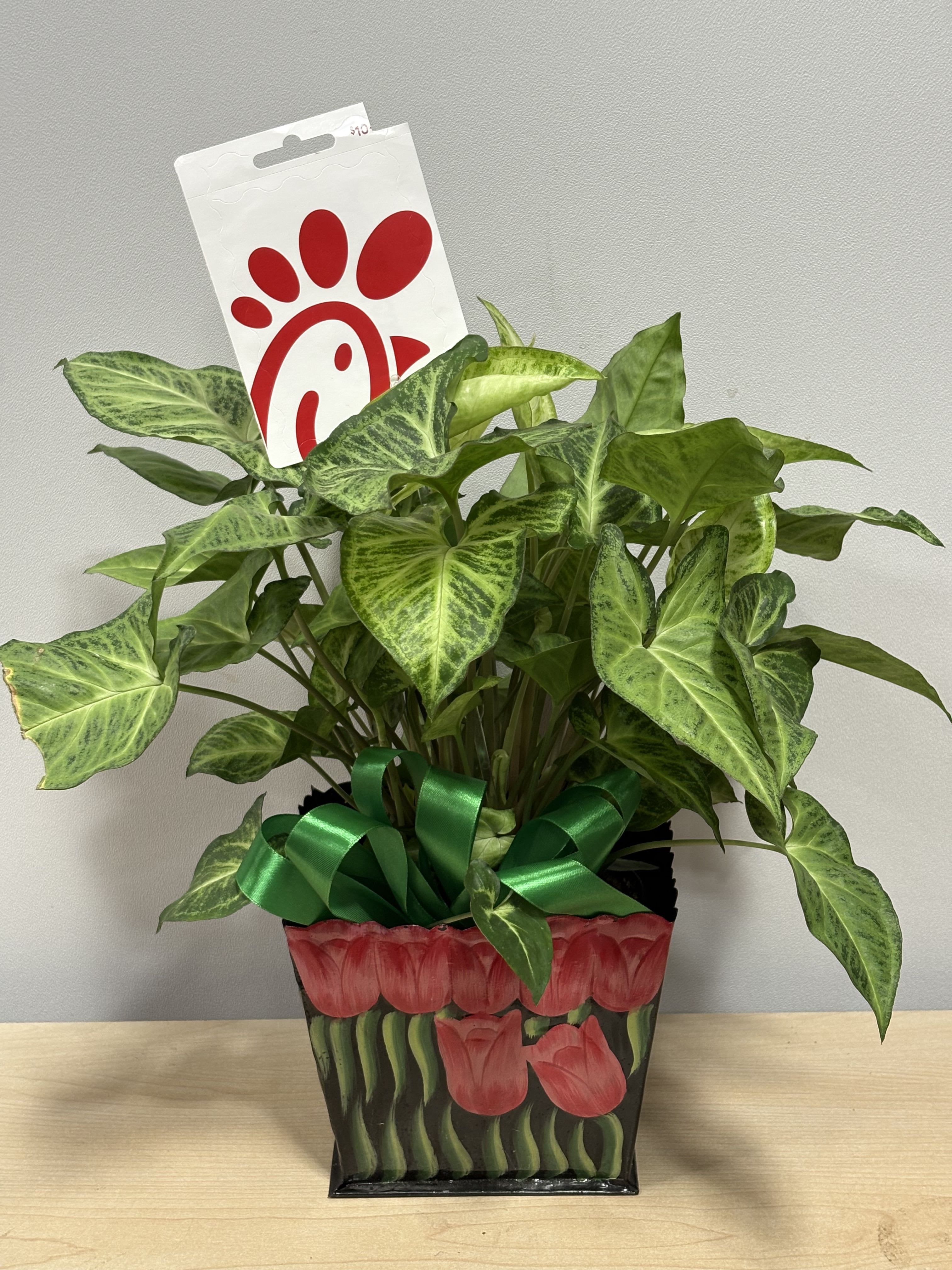 Potted green houseplant with a Chick-fil-A tag and ribbon