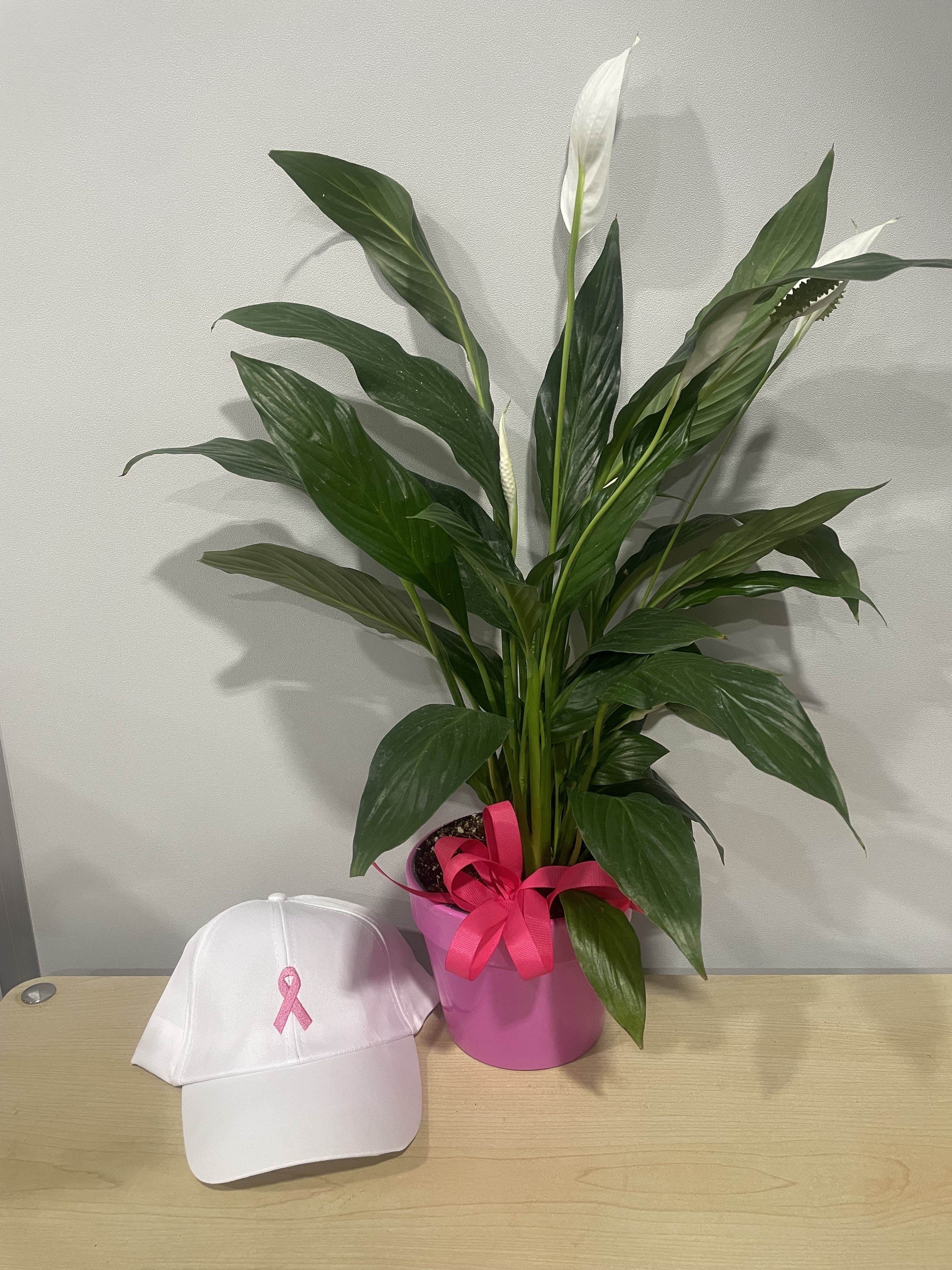 Potted peace lily with white blooms and a pink ribbon beside a white cap