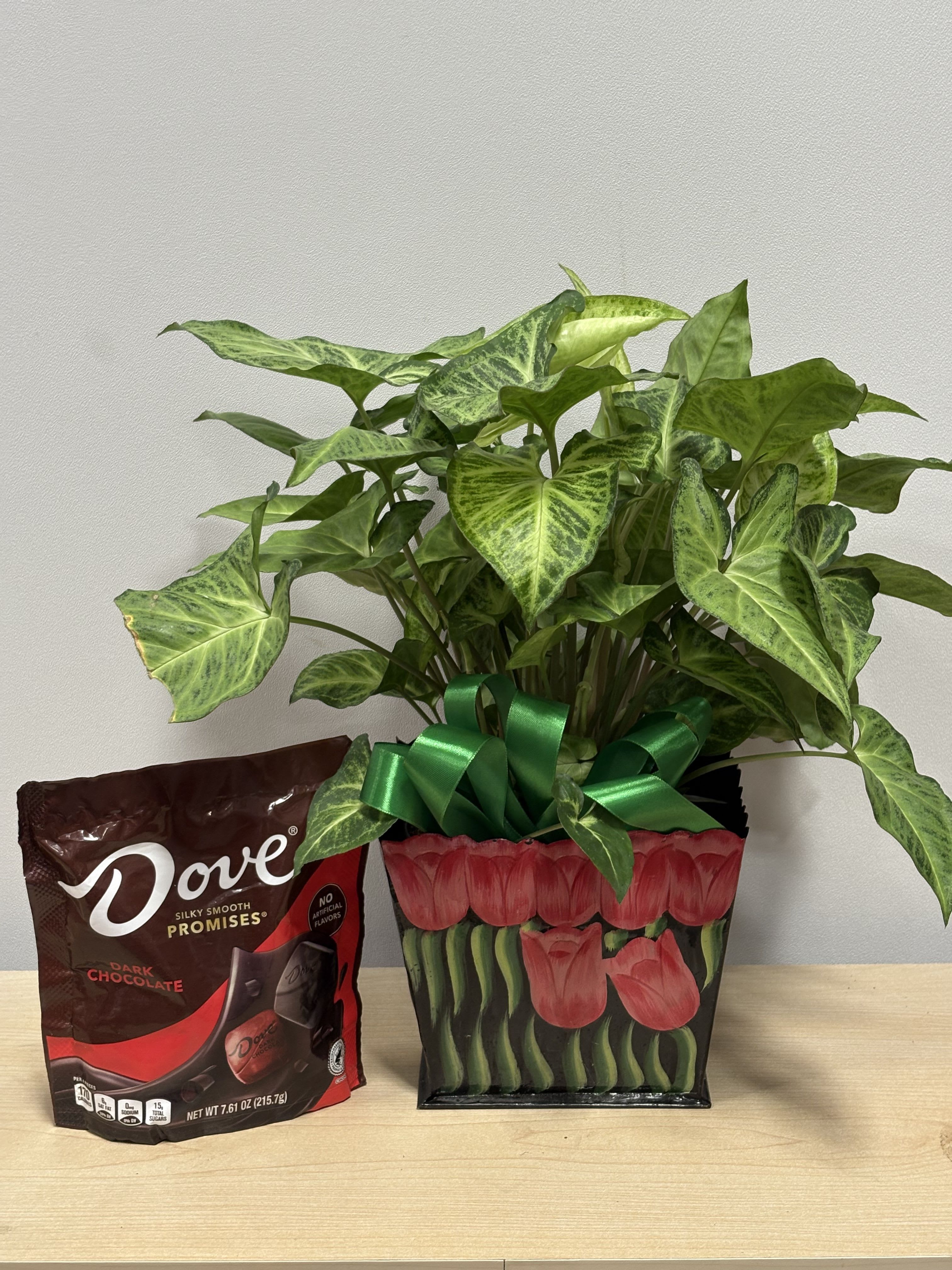 Potted green houseplant with a ribbon beside a bag of dark chocolate candies