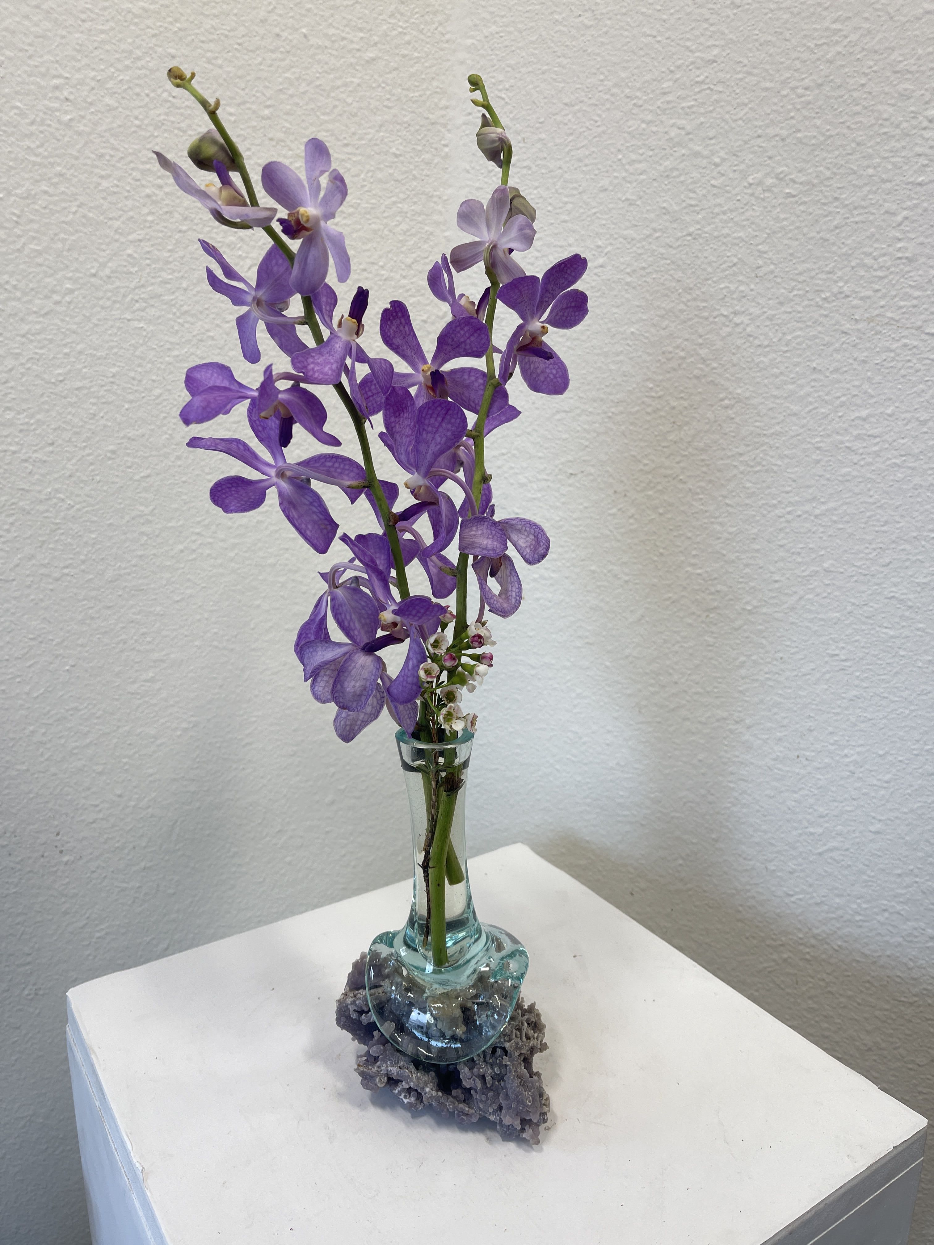 Ocean Orchids - Hand Blown Glass vase made to fit on a natural Amethyst Base