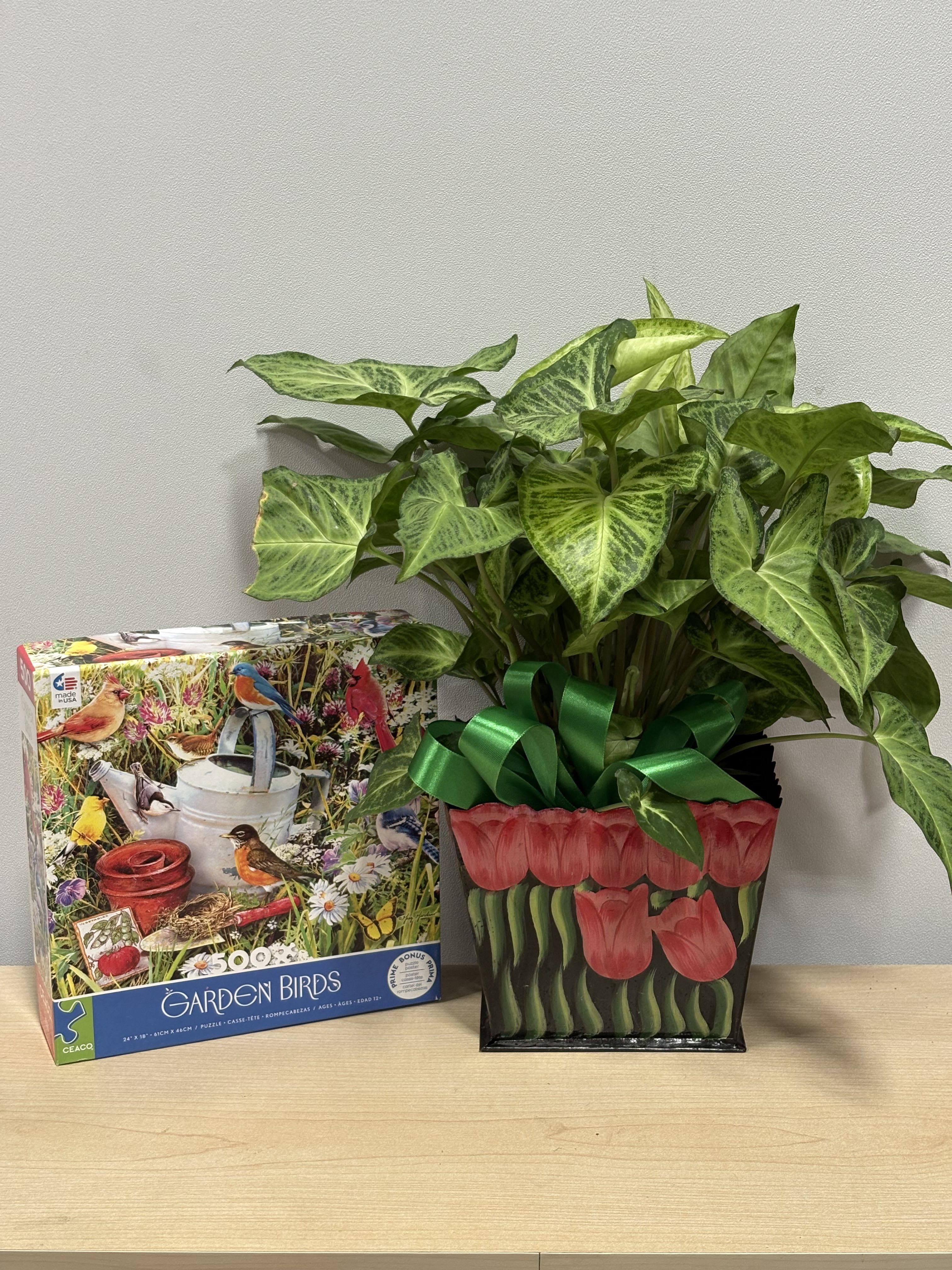 Potted green houseplant in a decorative tulip-print bag beside a bird puzzle box