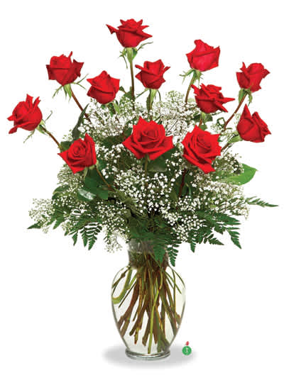 Red roses arranged in a clear glass vase with baby's breath