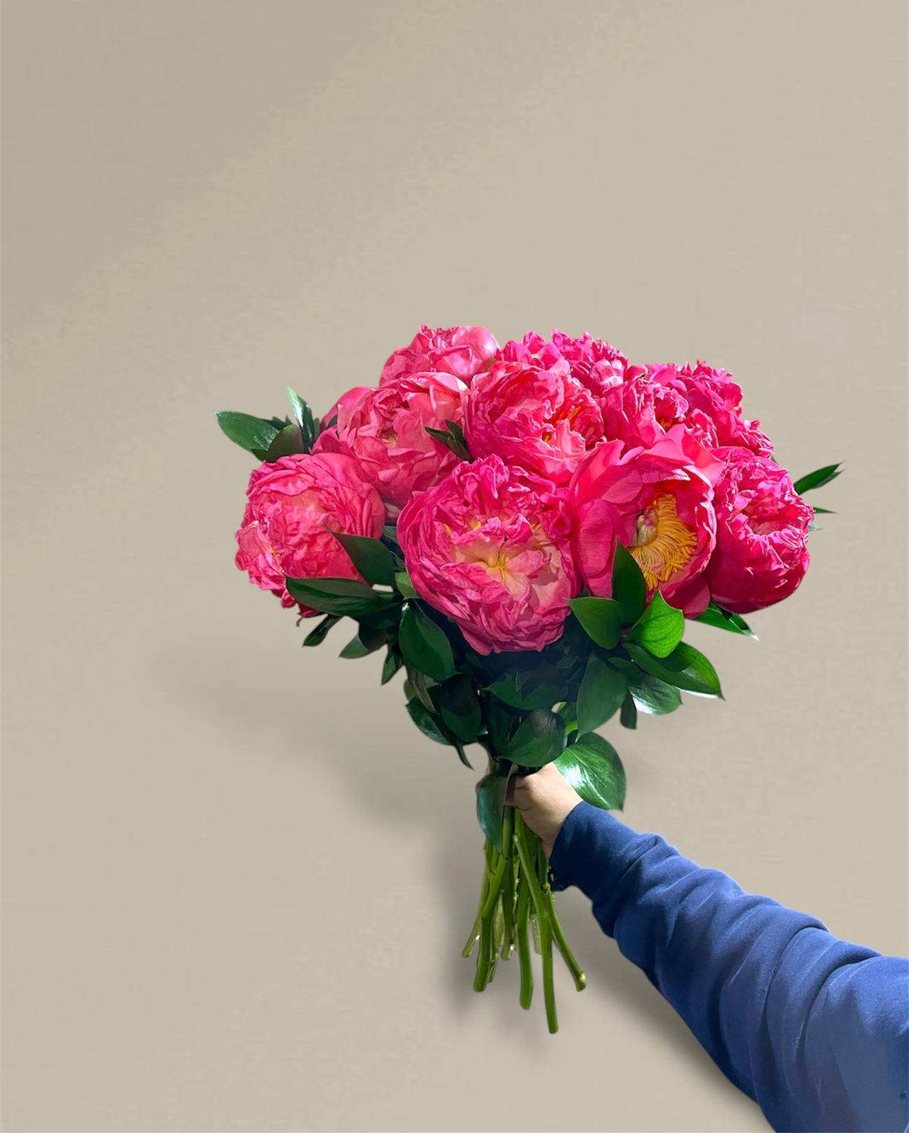 Handheld bouquet of bright pink peonies with green foliage